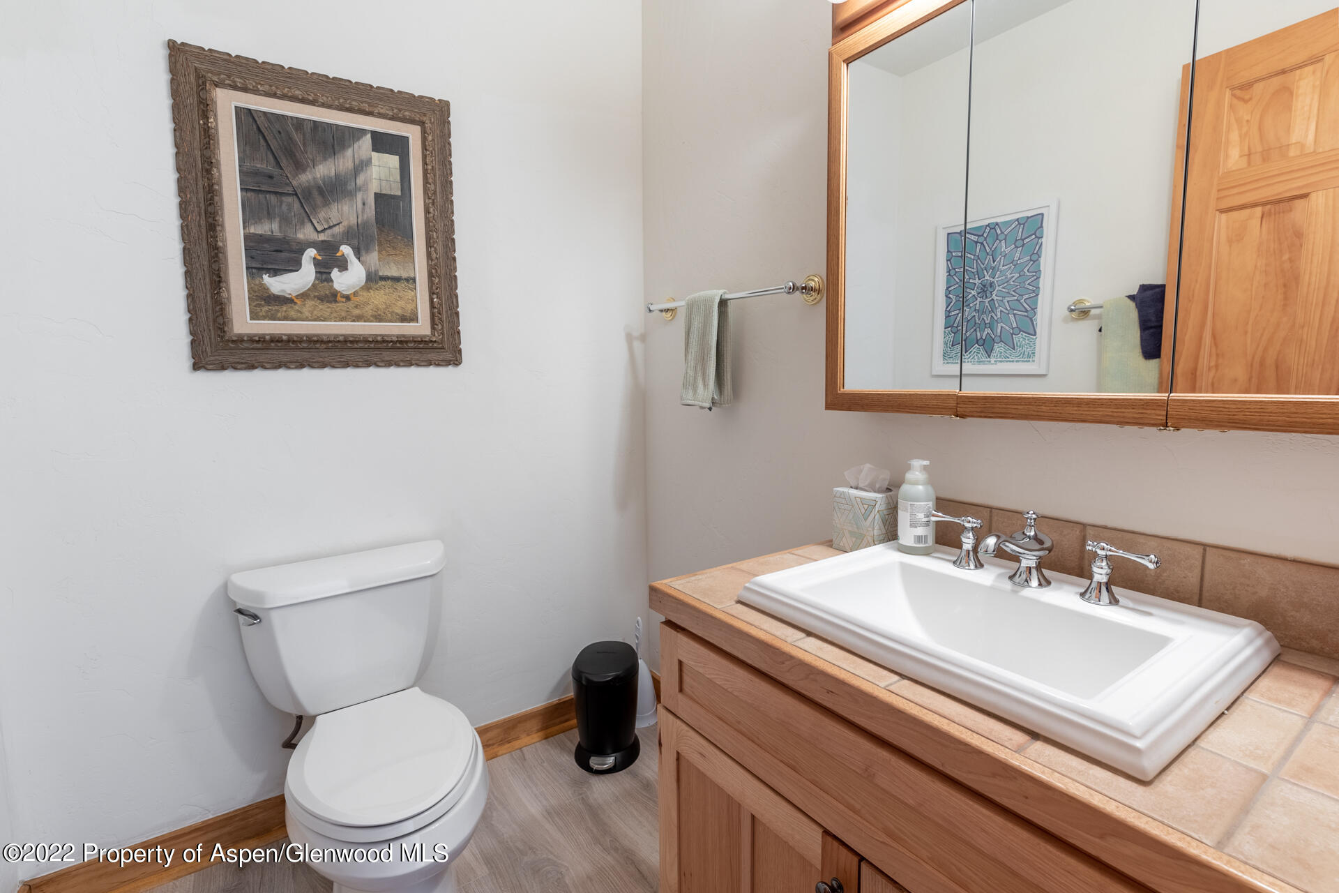 1103 Heritage Drive Carbondale CO 81623