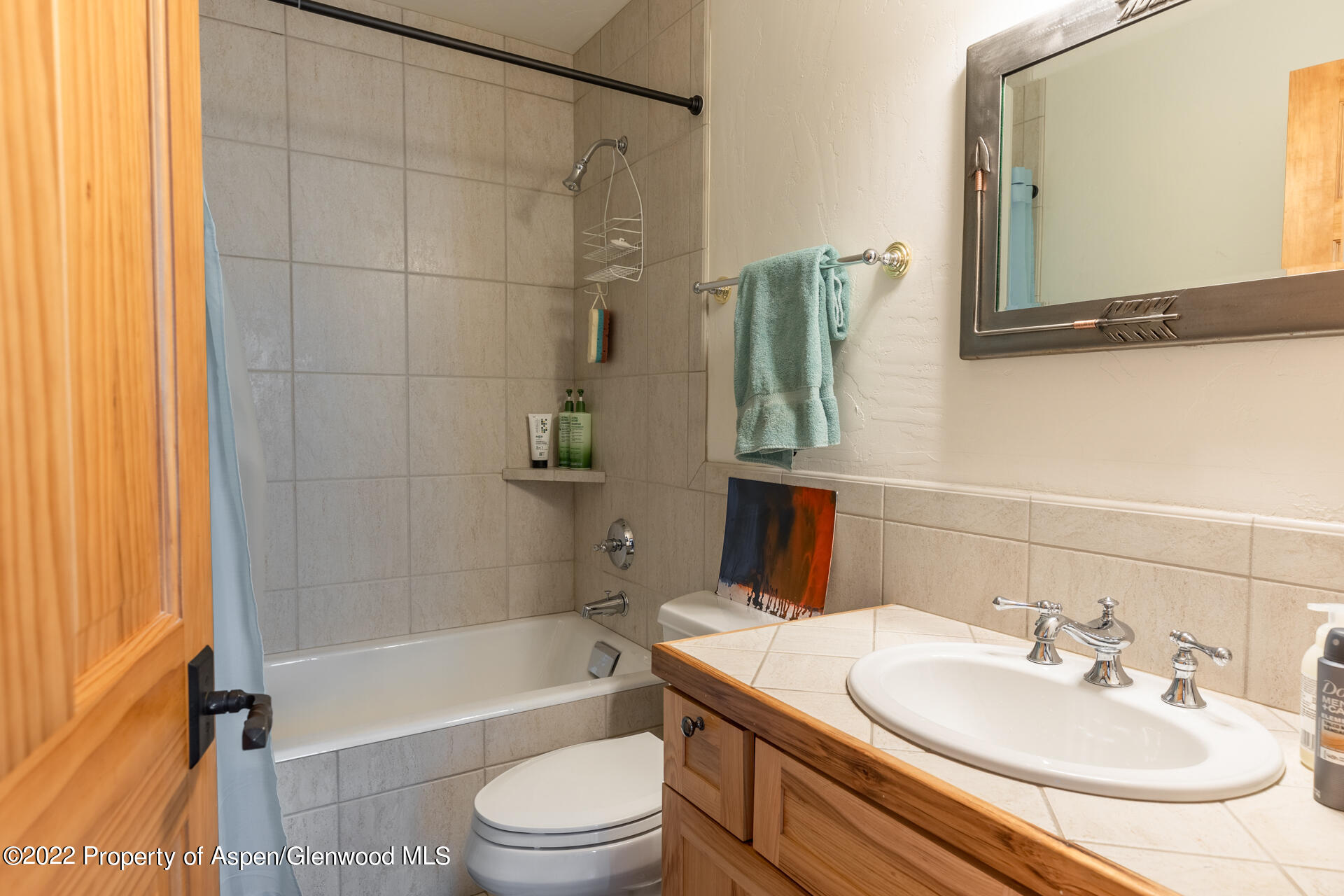1103 Heritage Drive Carbondale CO 81623