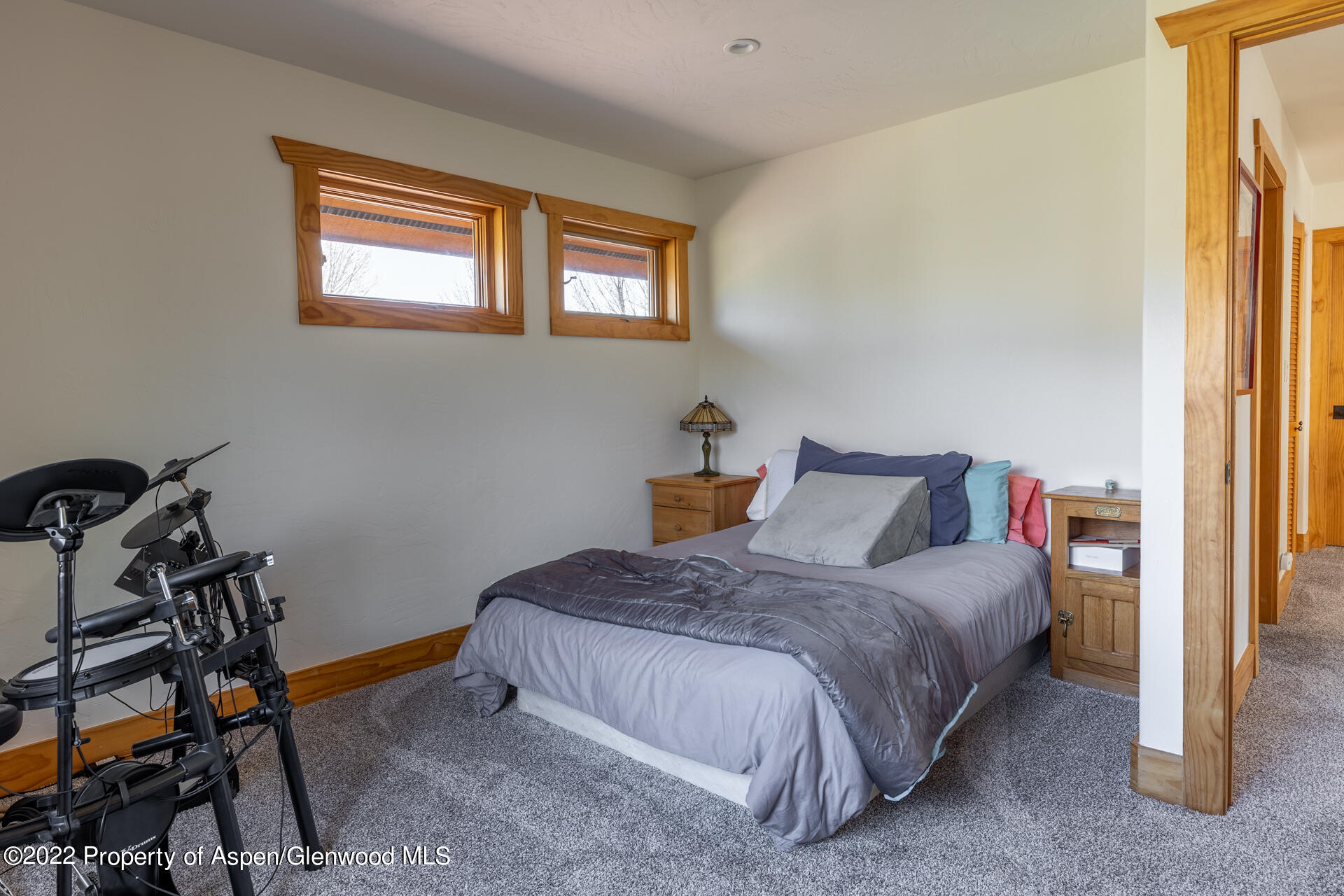 1103 Heritage Drive Carbondale CO 81623