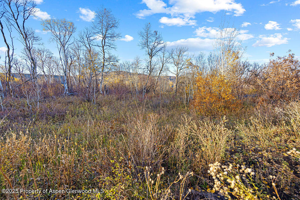 228 Eagle Bypass Craig CO 81625