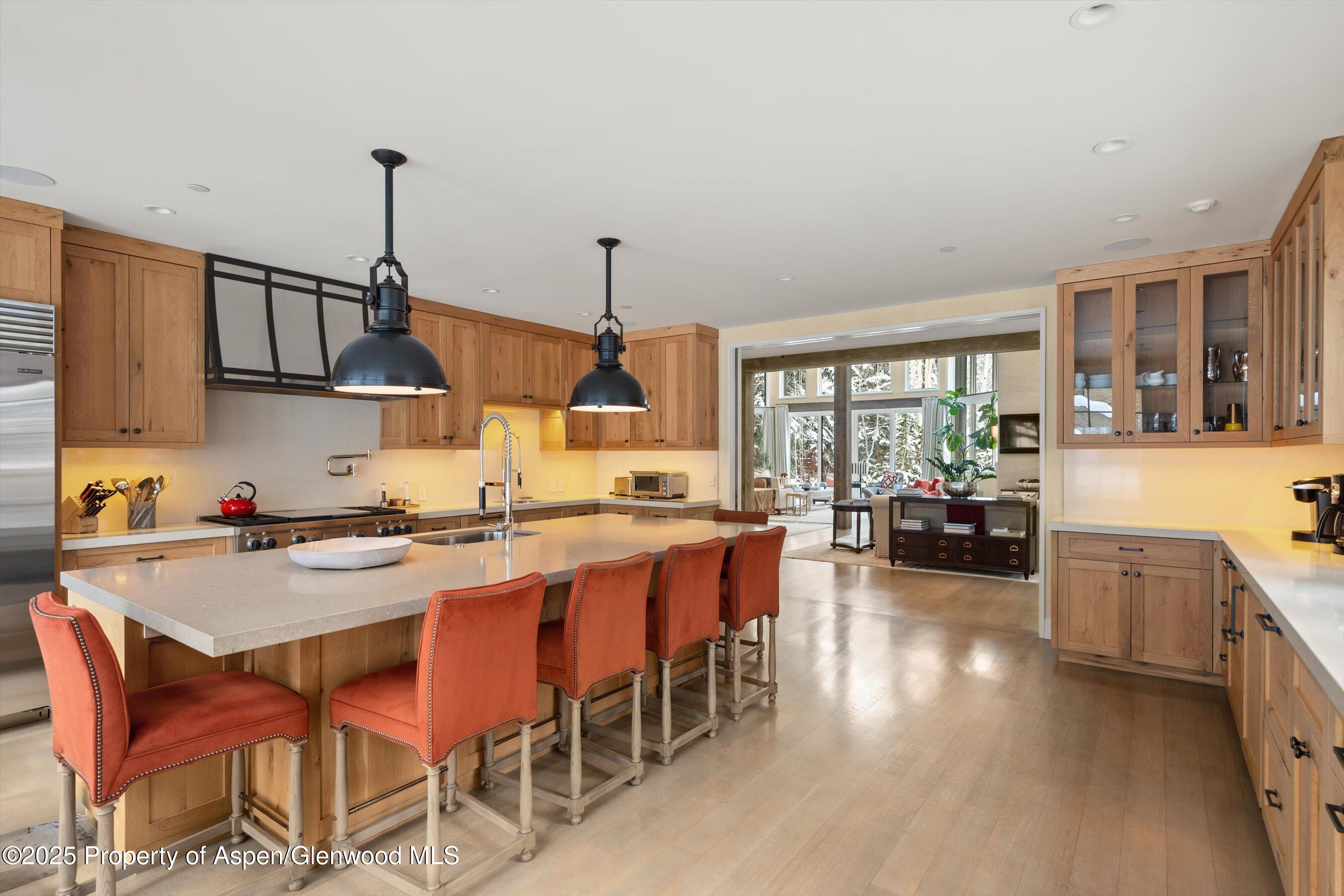 10 Ute Place Aspen CO 81611