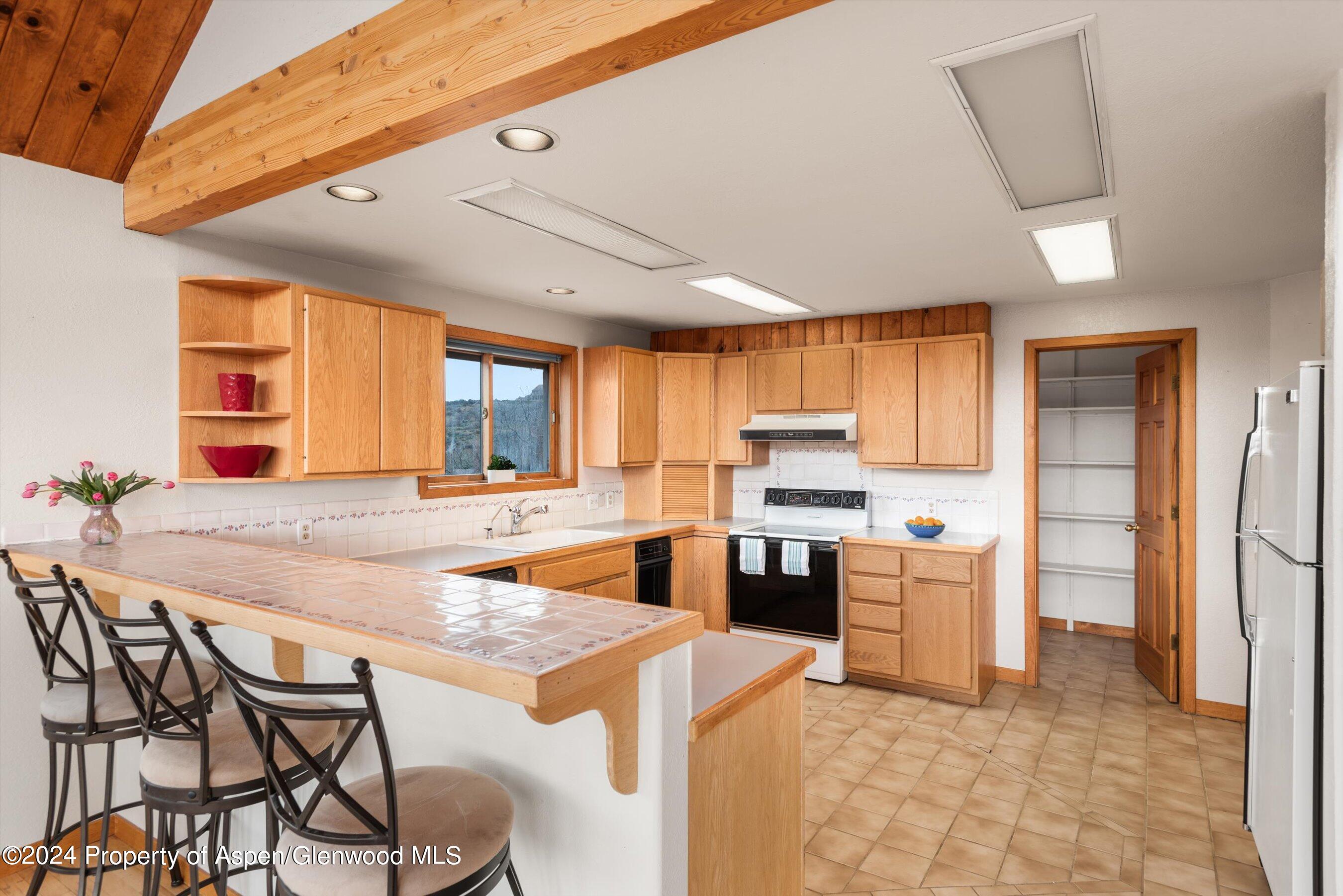 201 Chateau Way Snowmass CO 81654
