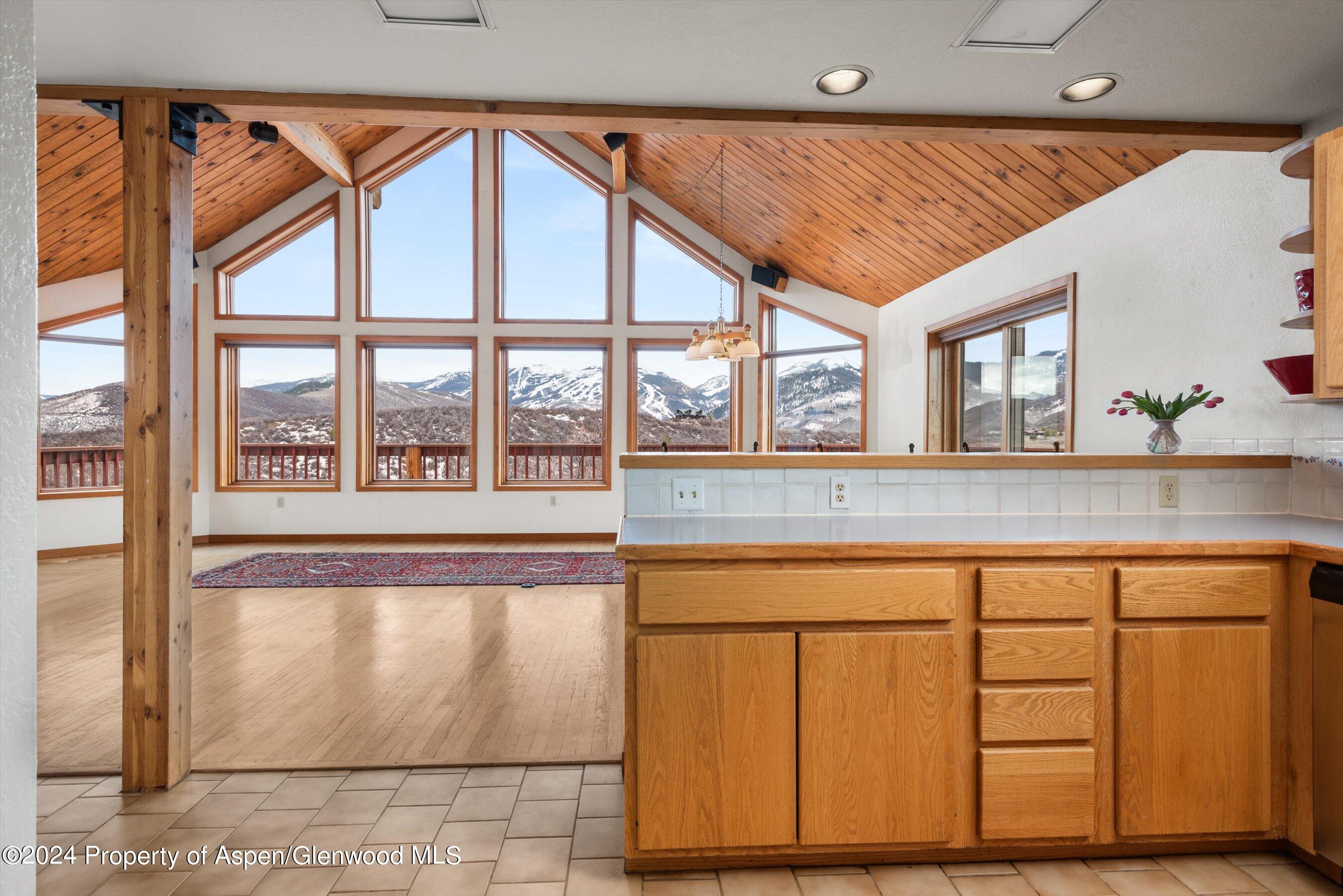 201 Chateau Way Snowmass CO 81654