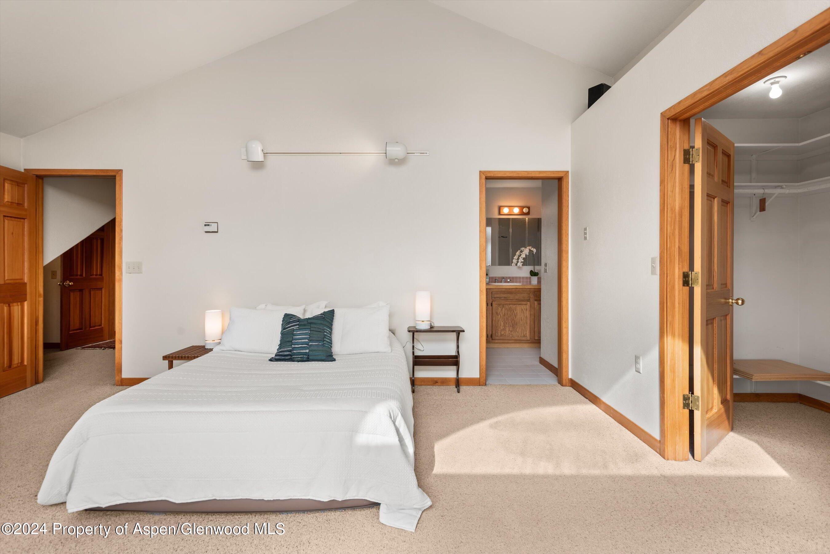 201 Chateau Way Snowmass CO 81654