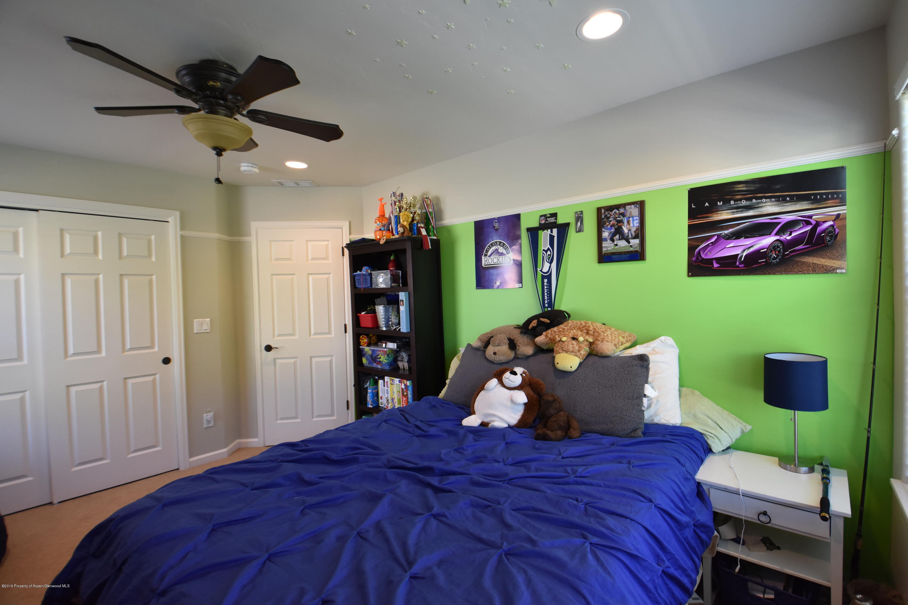 118 Carson Court New Castle CO 81647