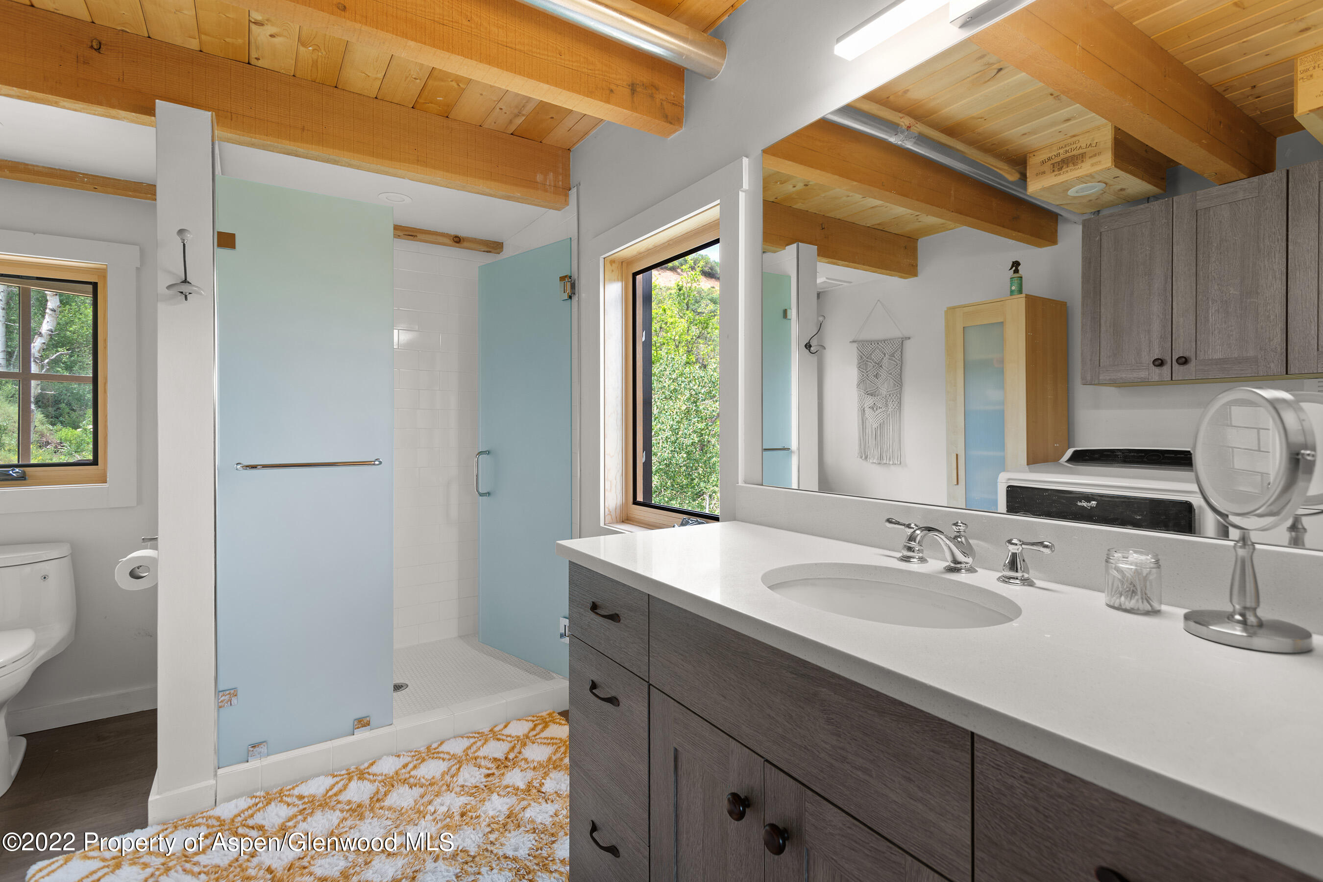 1952 Medicine Bow Road Aspen CO 81611