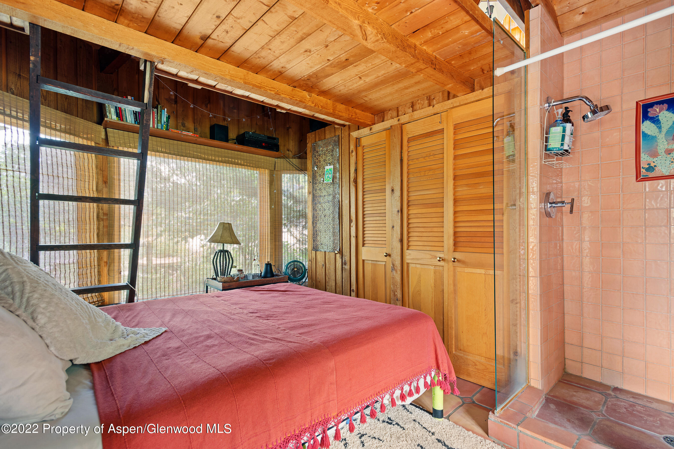 1952 Medicine Bow Road Aspen CO 81611