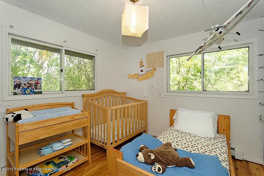 114 Apache Trail Carbondale CO 81623