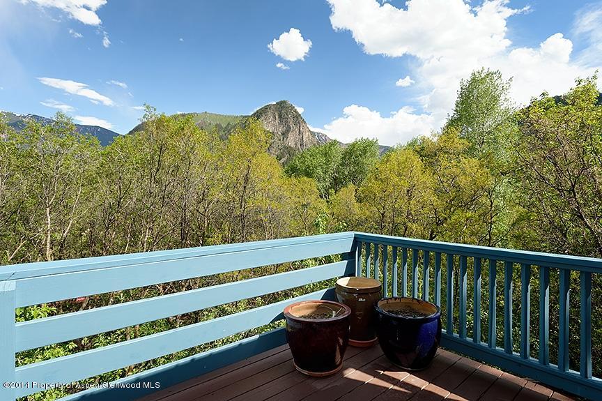 114 Apache Trail Carbondale CO 81623