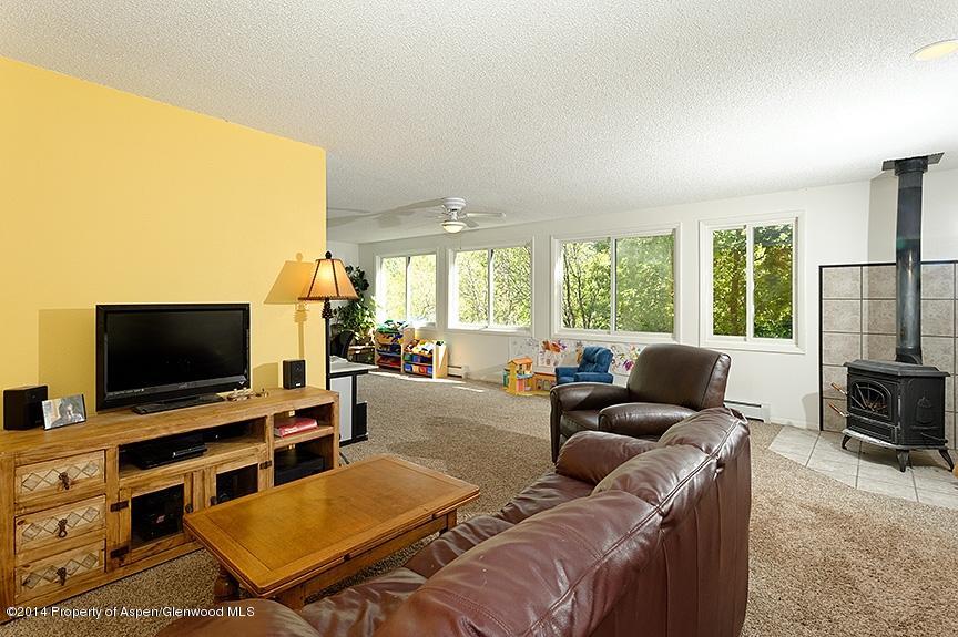 114 Apache Trail Carbondale CO 81623