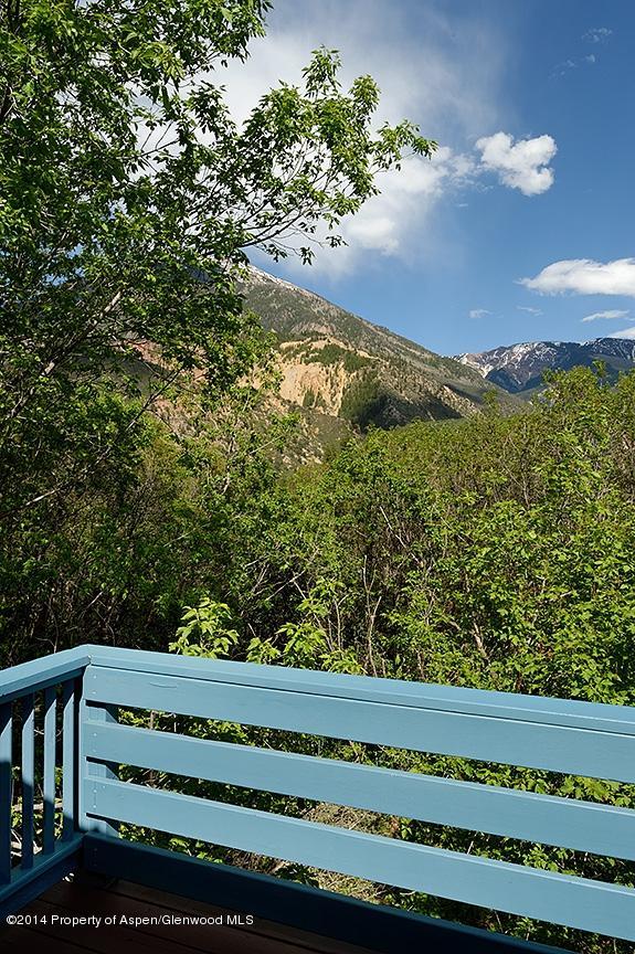 114 Apache Trail Carbondale CO 81623