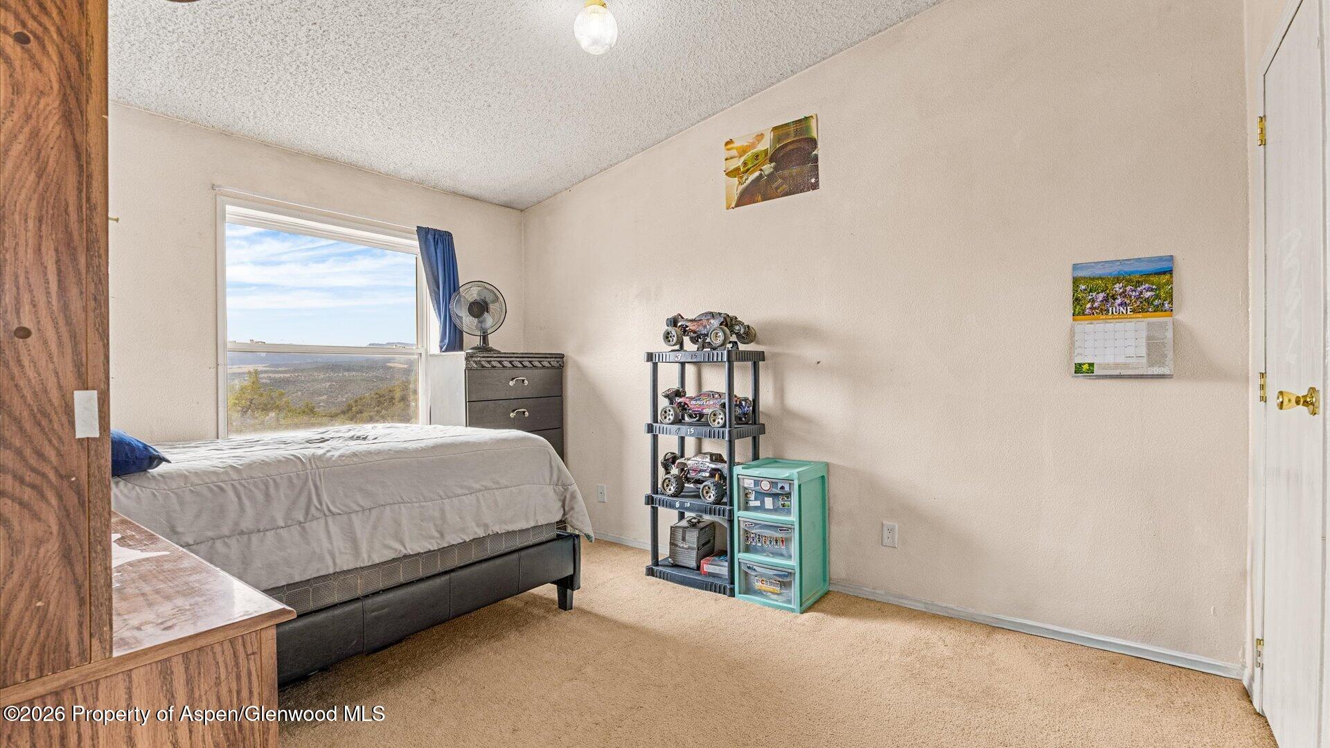 2055 Grass Mesa Road Rifle CO 81650