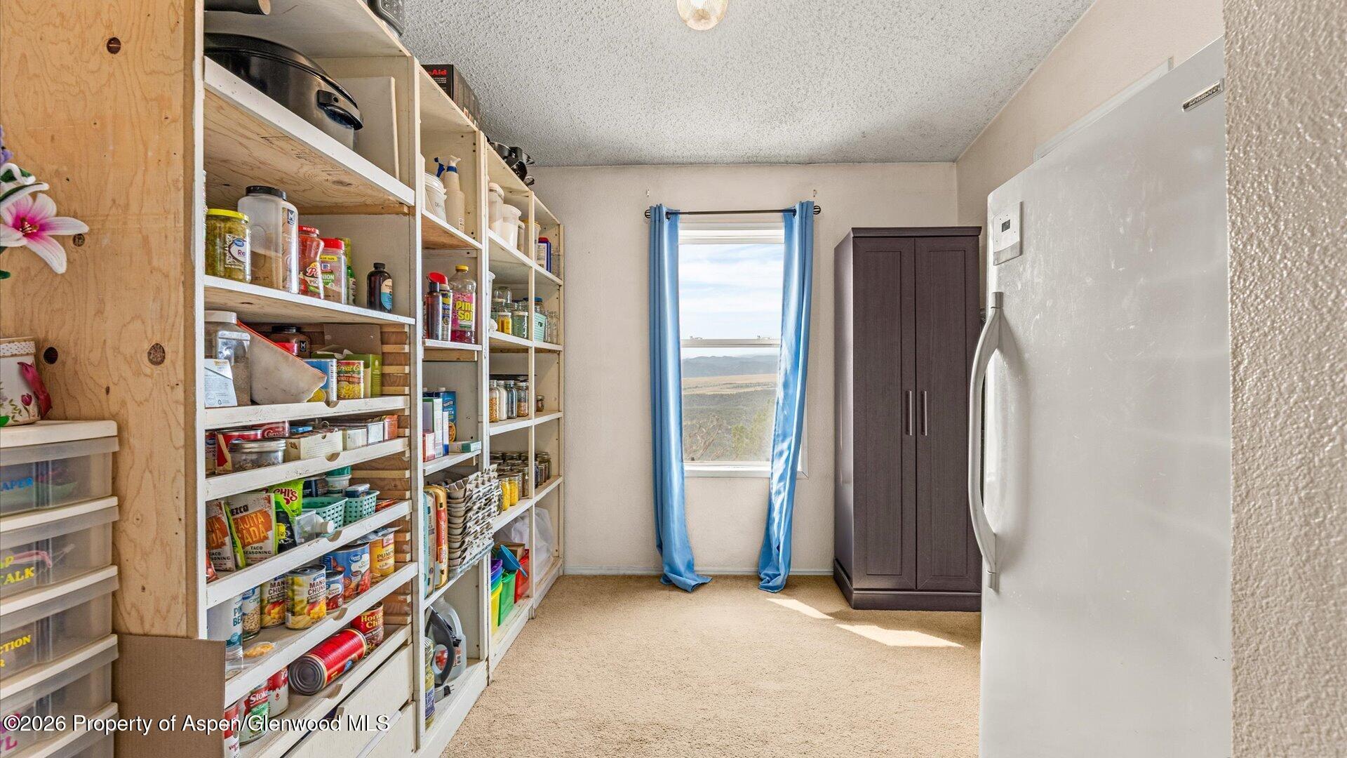 2055 Grass Mesa Road Rifle CO 81650