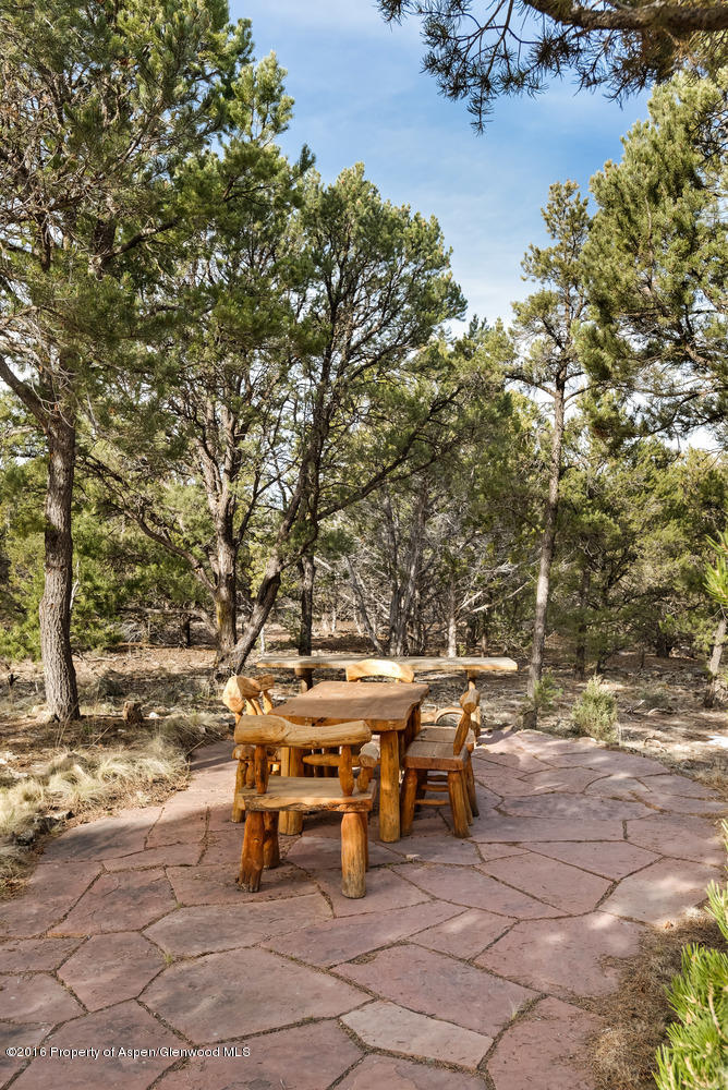 5365 County Road 100 Carbondale CO 81623