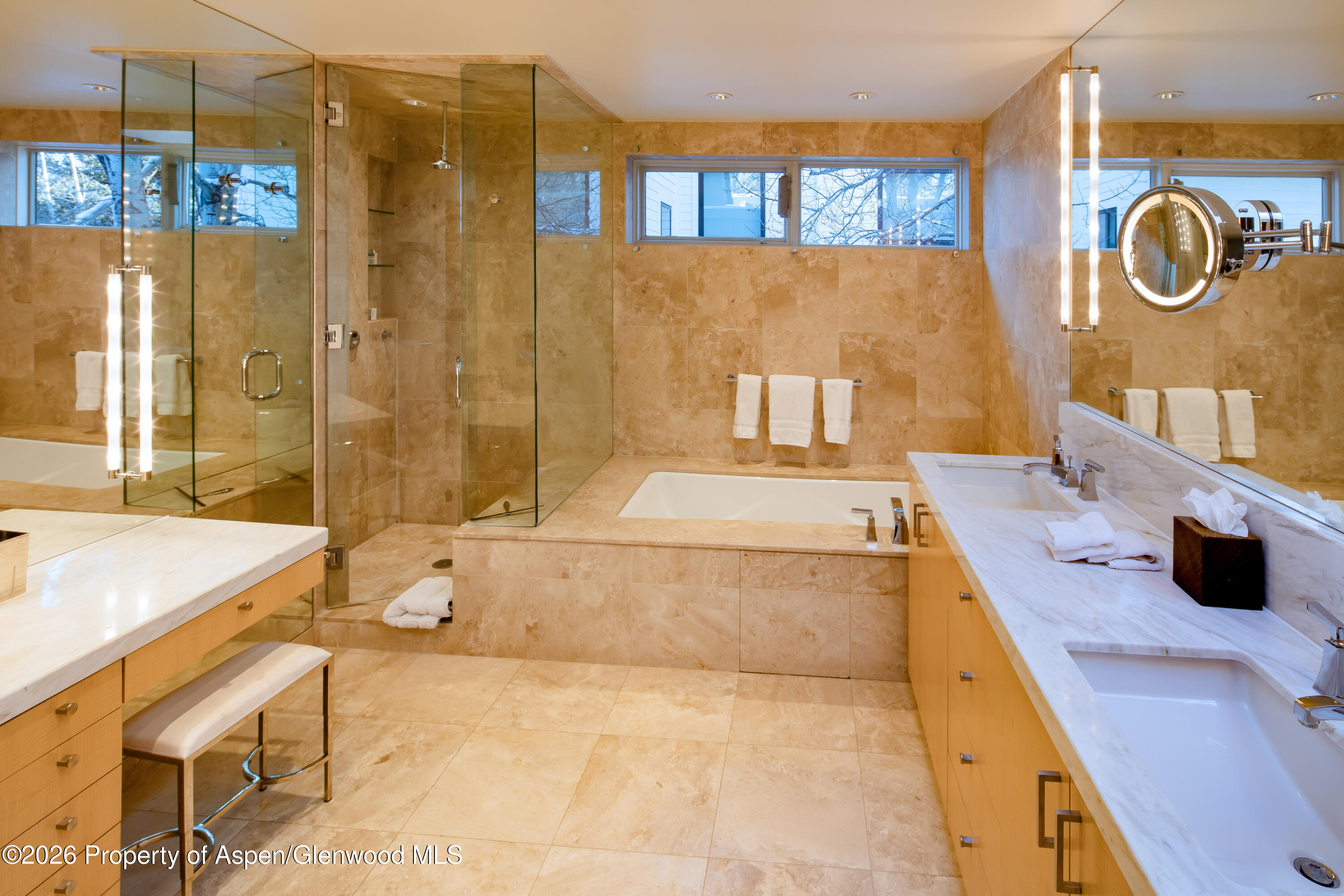 506 W Hallam Street Aspen CO 81611