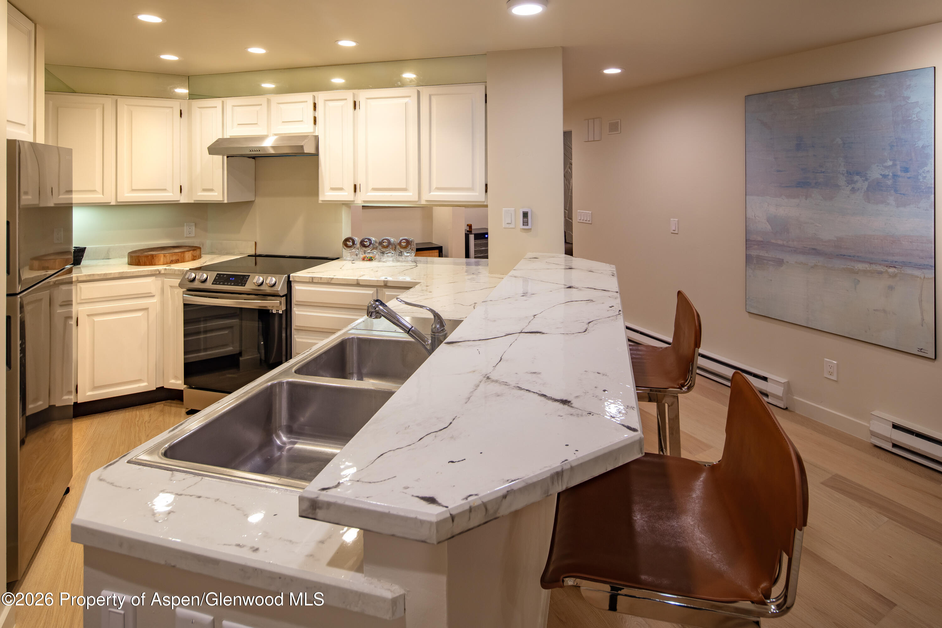 506 W Hallam Street Aspen CO 81611