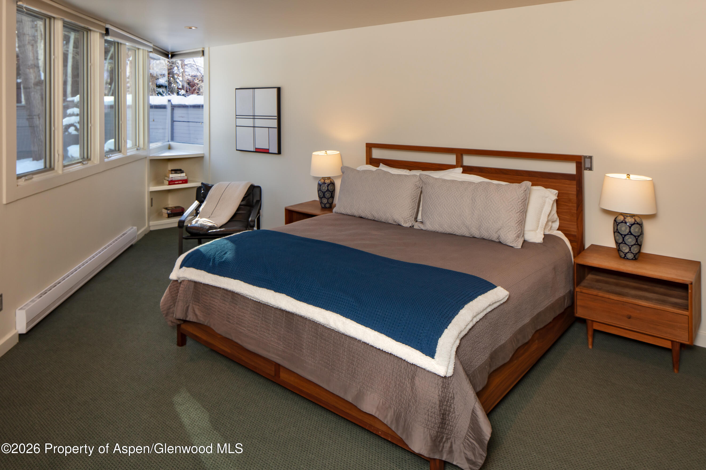 506 W Hallam Street Aspen CO 81611