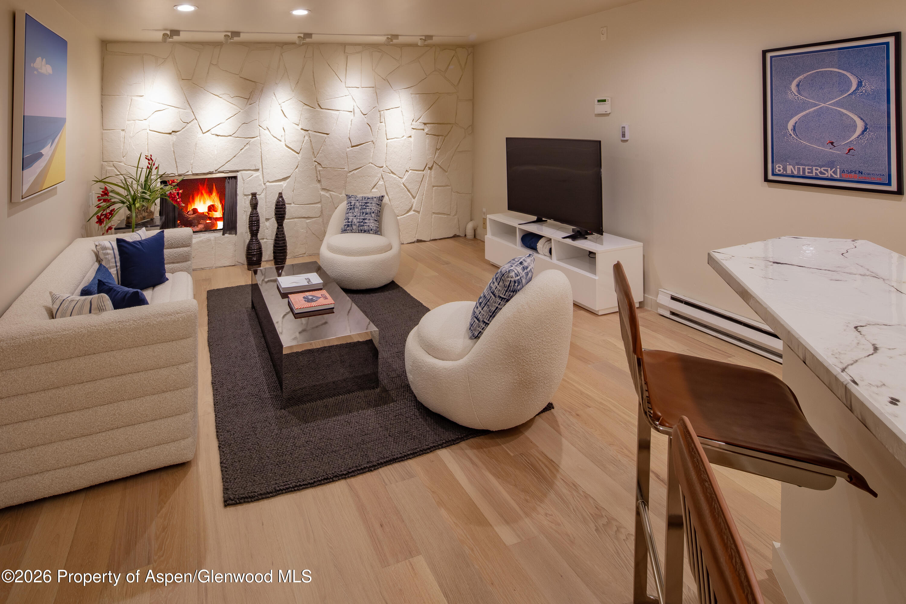 506 W Hallam Street Aspen CO 81611