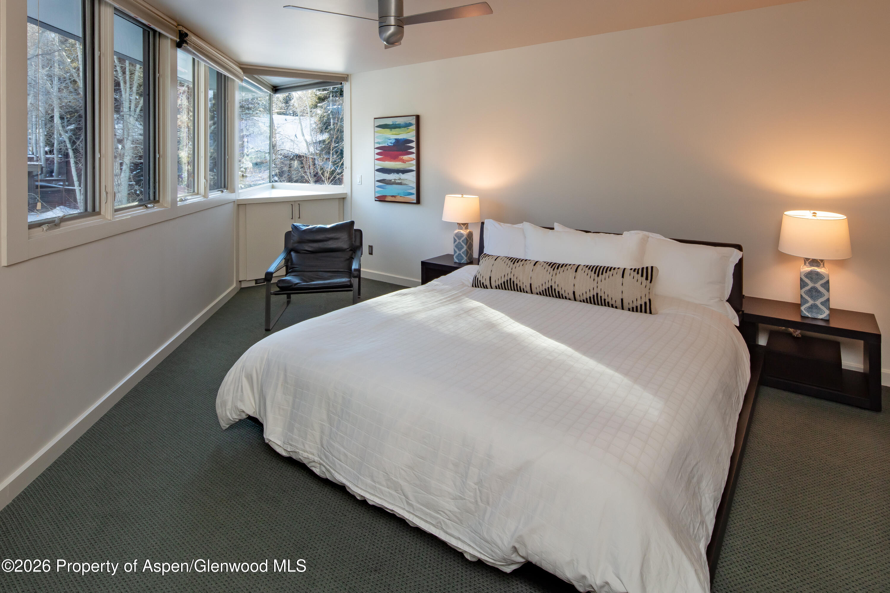 506 W Hallam Street Aspen CO 81611