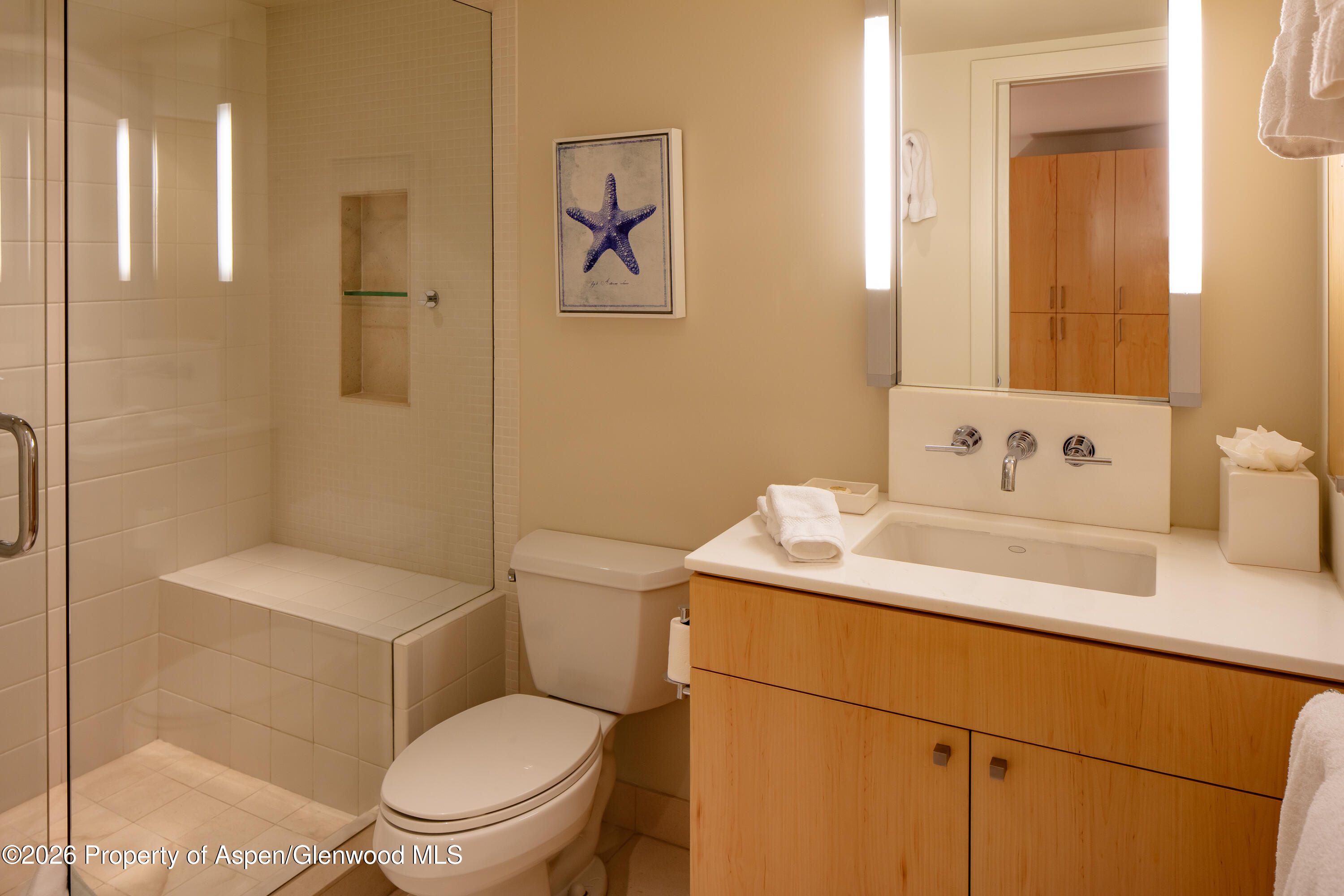 506 W Hallam Street Aspen CO 81611