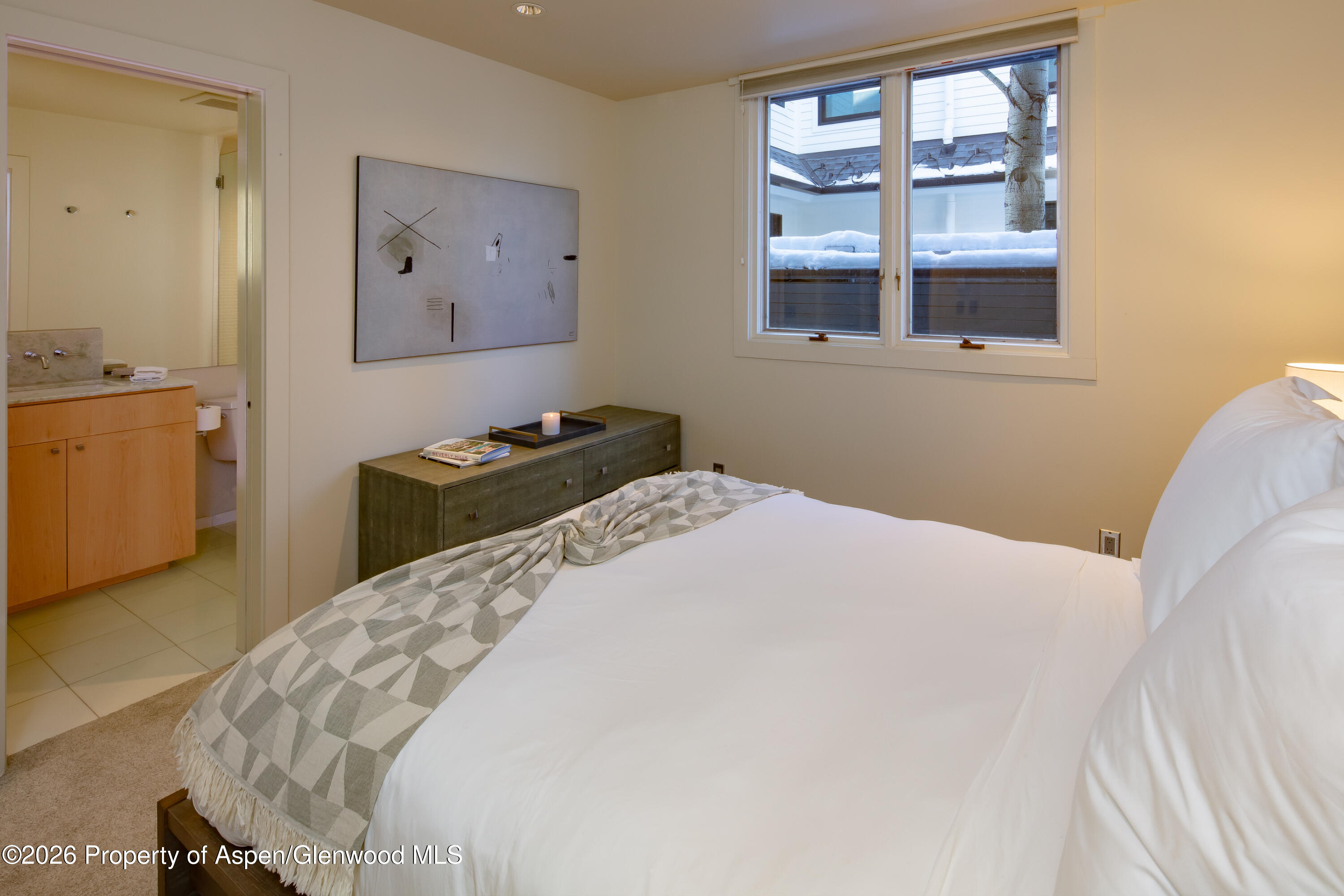 506 W Hallam Street Aspen CO 81611