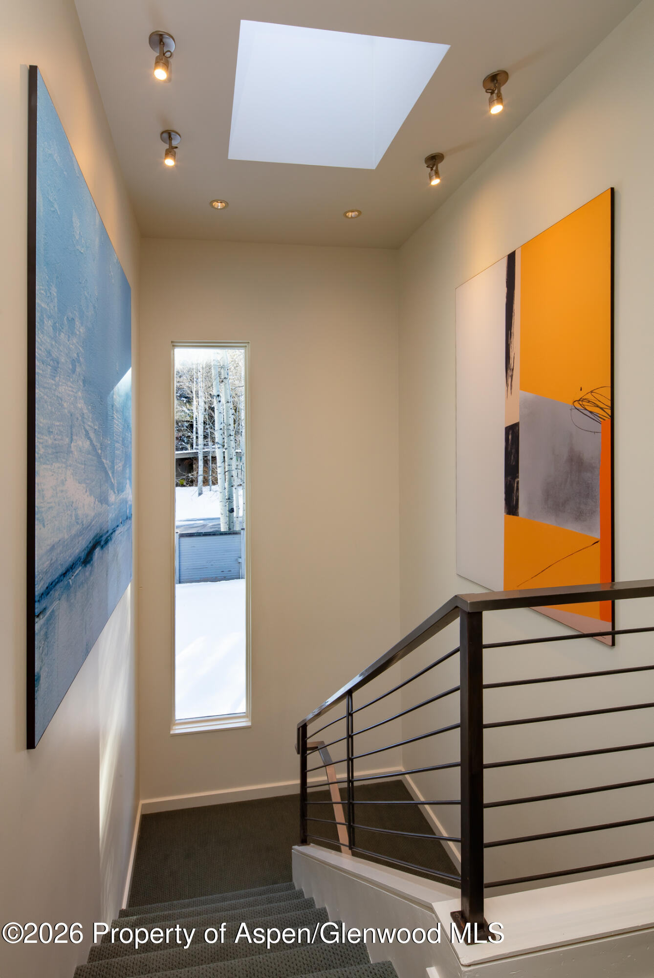 506 W Hallam Street Aspen CO 81611