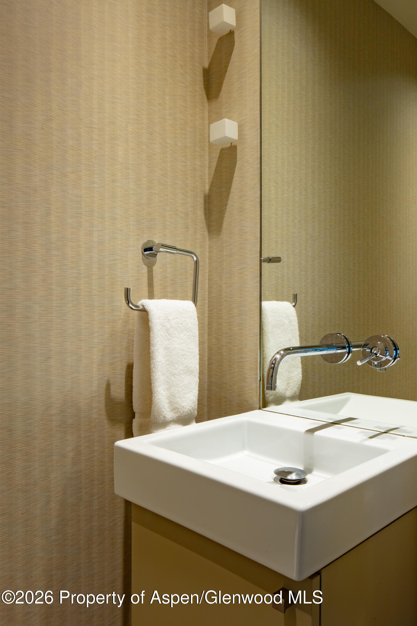 506 W Hallam Street Aspen CO 81611