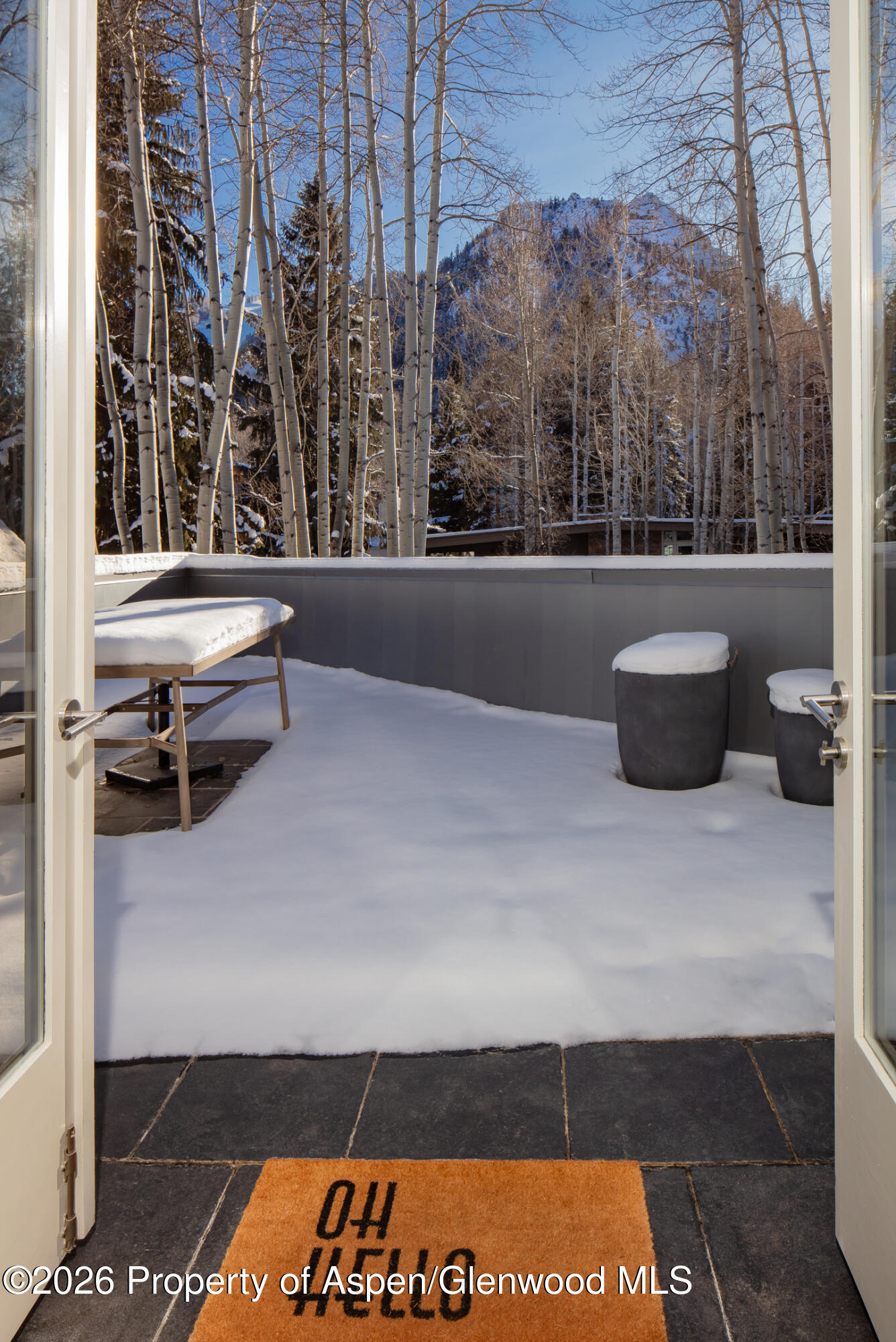 506 W Hallam Street Aspen CO 81611