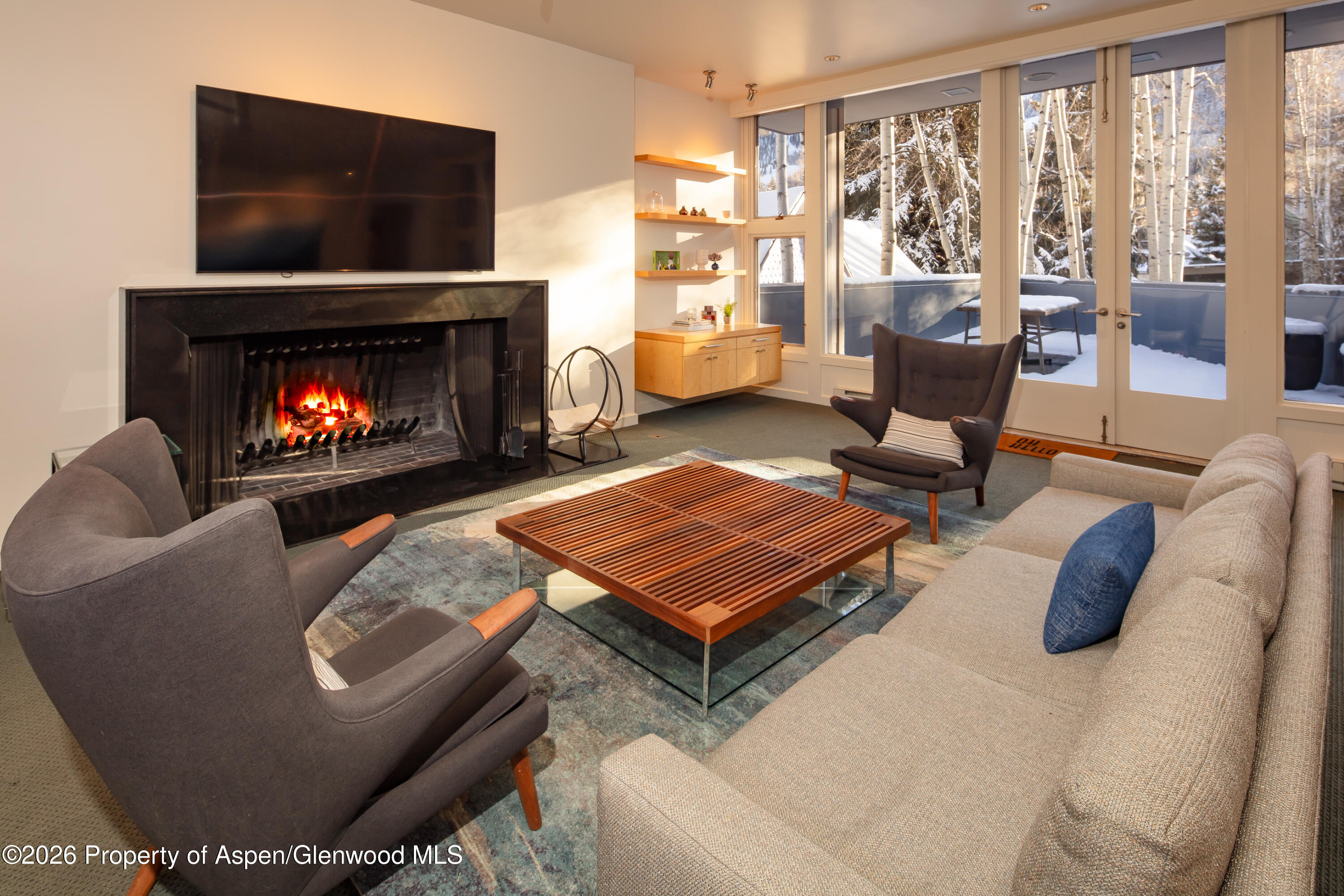 506 W Hallam Street Aspen CO 81611