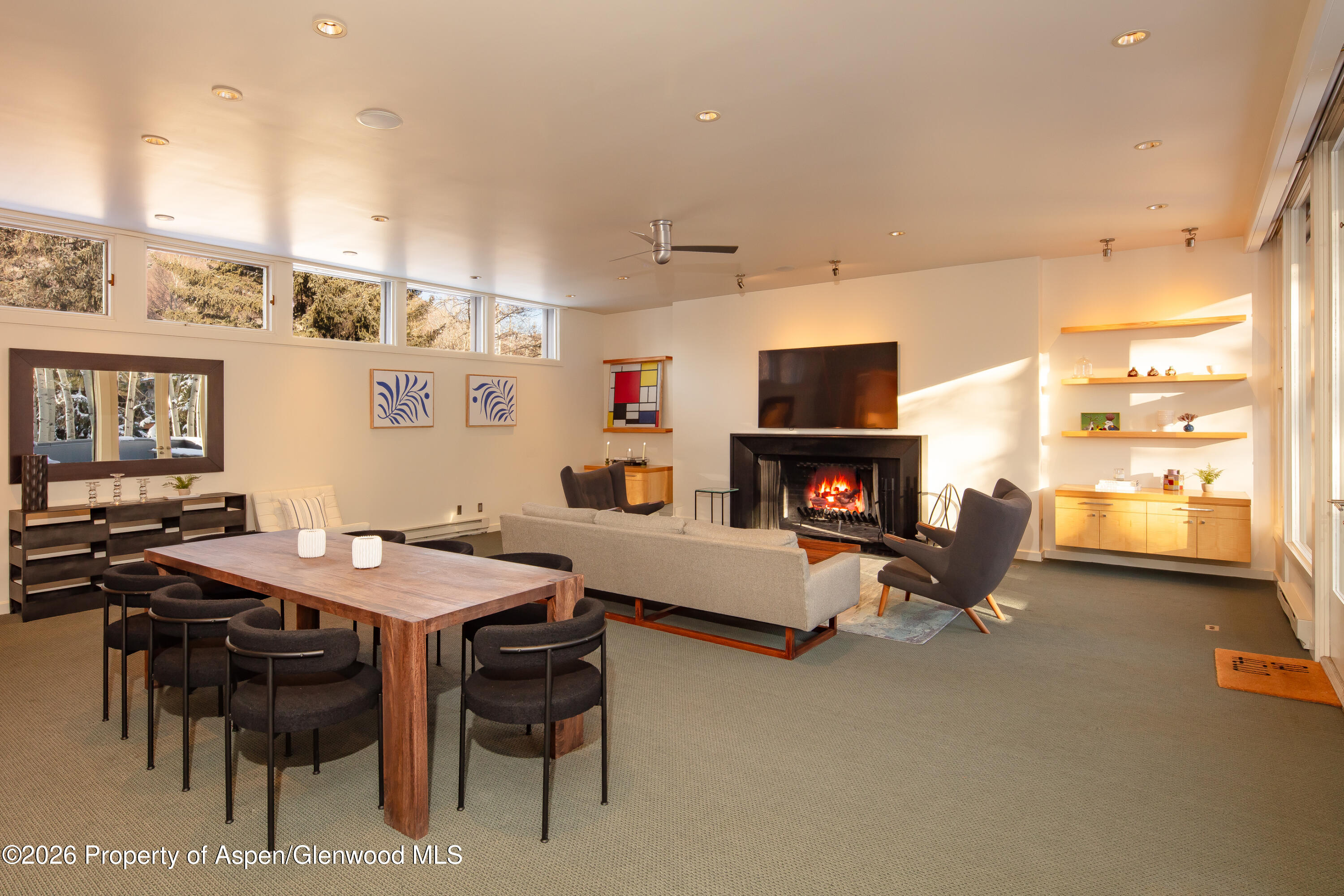 506 W Hallam Street Aspen CO 81611