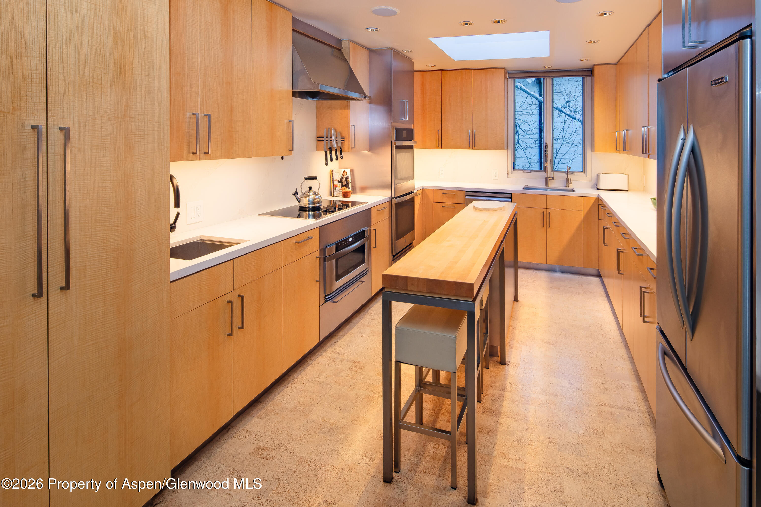 506 W Hallam Street Aspen CO 81611