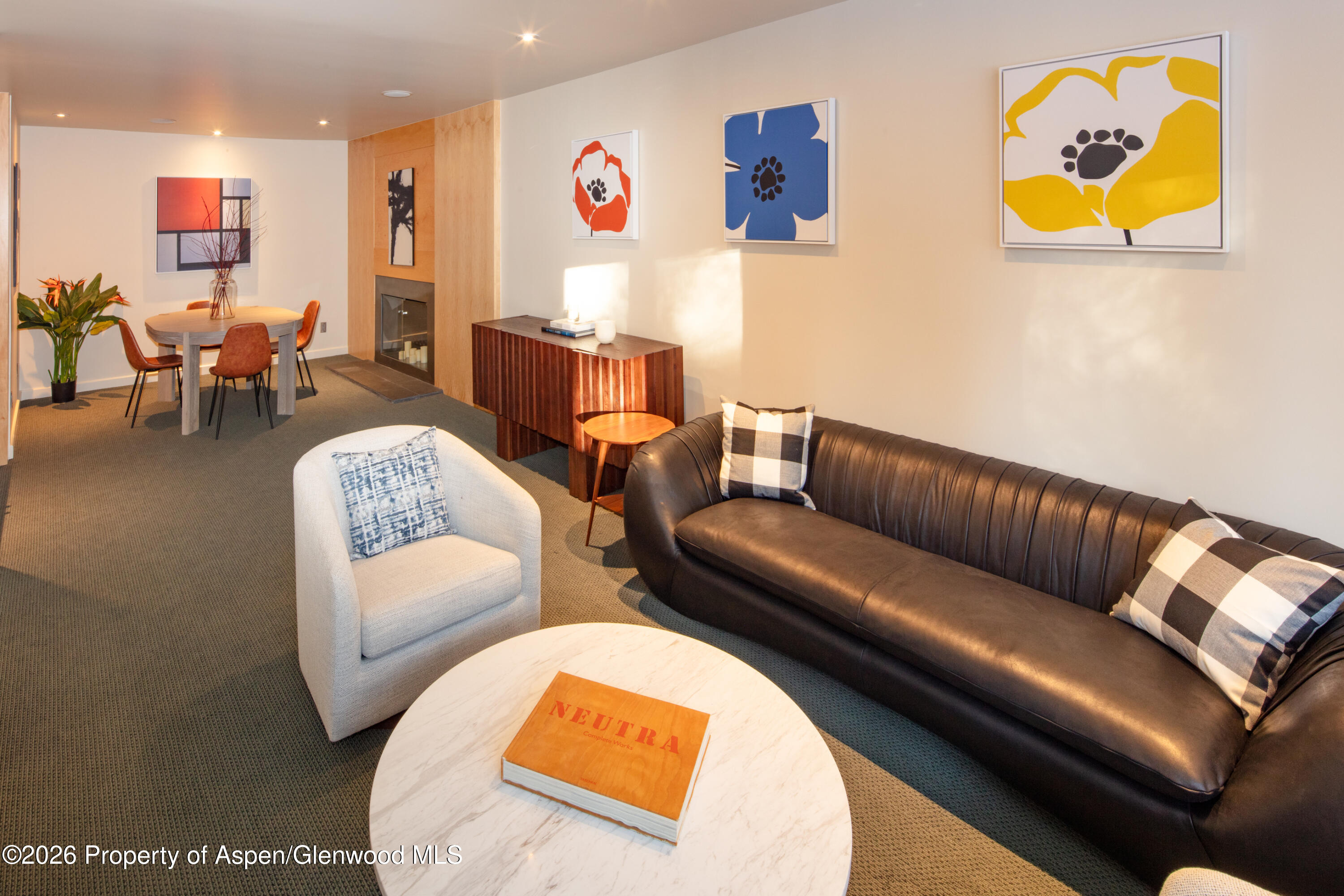 506 W Hallam Street Aspen CO 81611