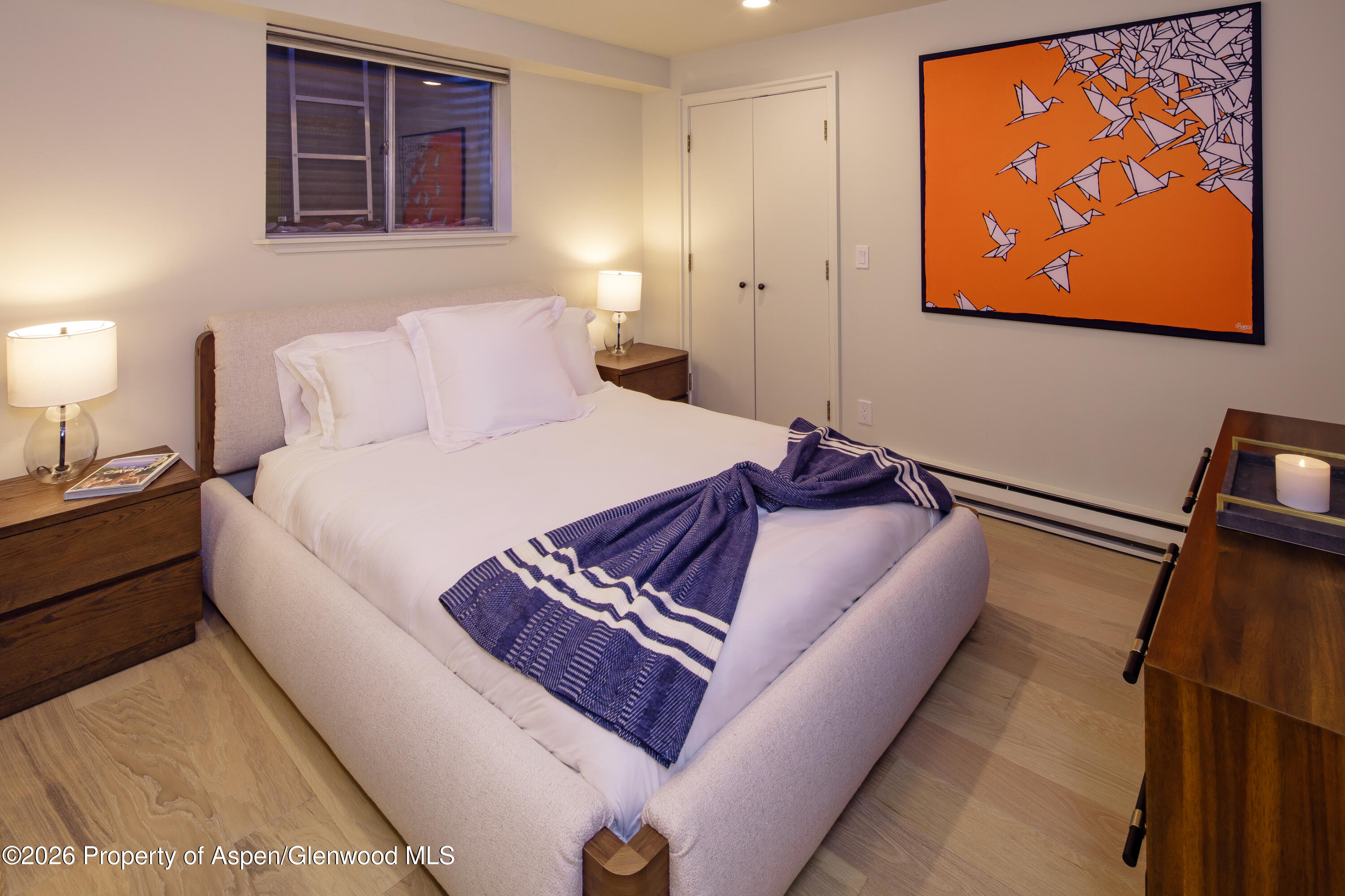 506 W Hallam Street Aspen CO 81611