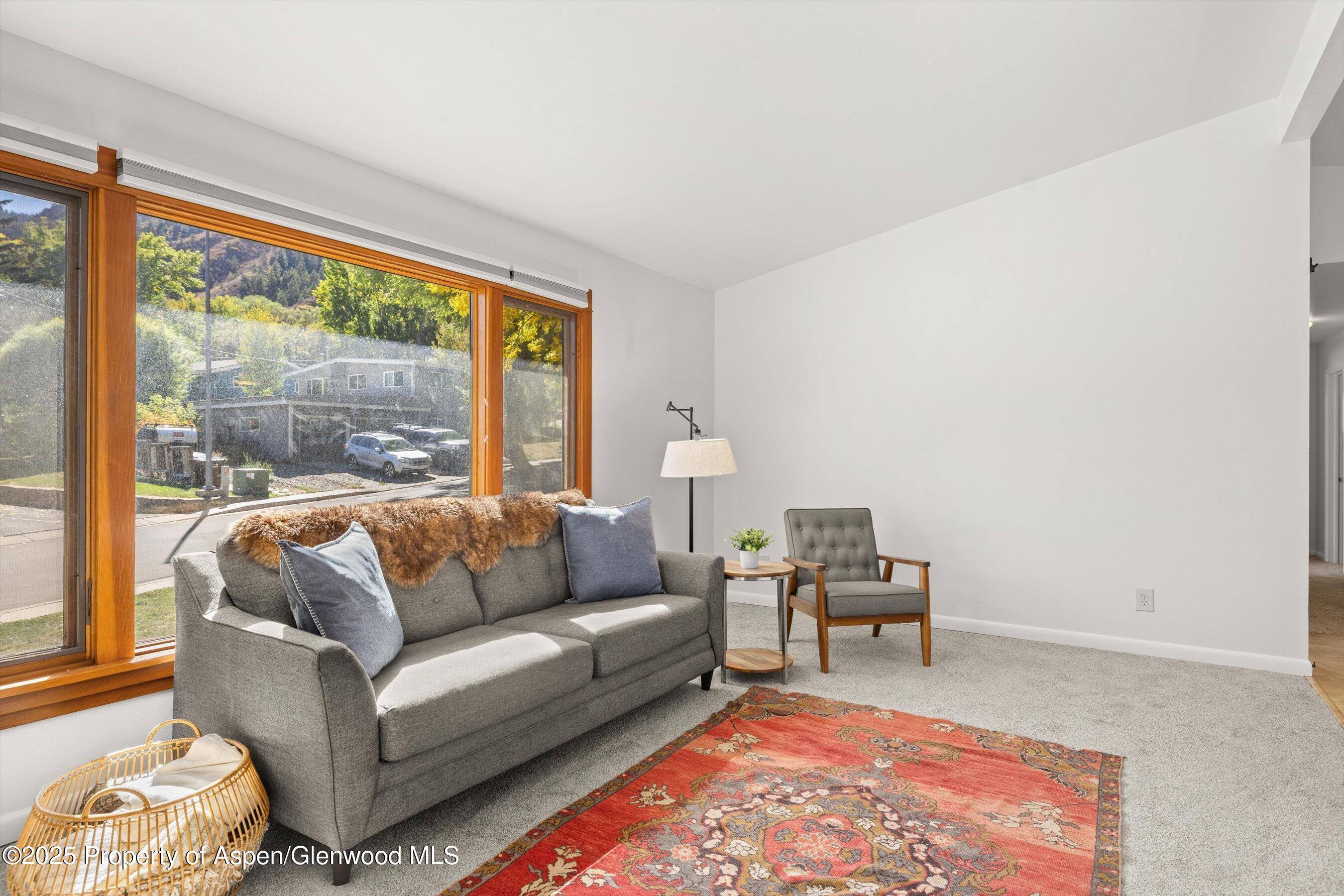 1019 Riverview Drive Glenwood Springs CO 81601