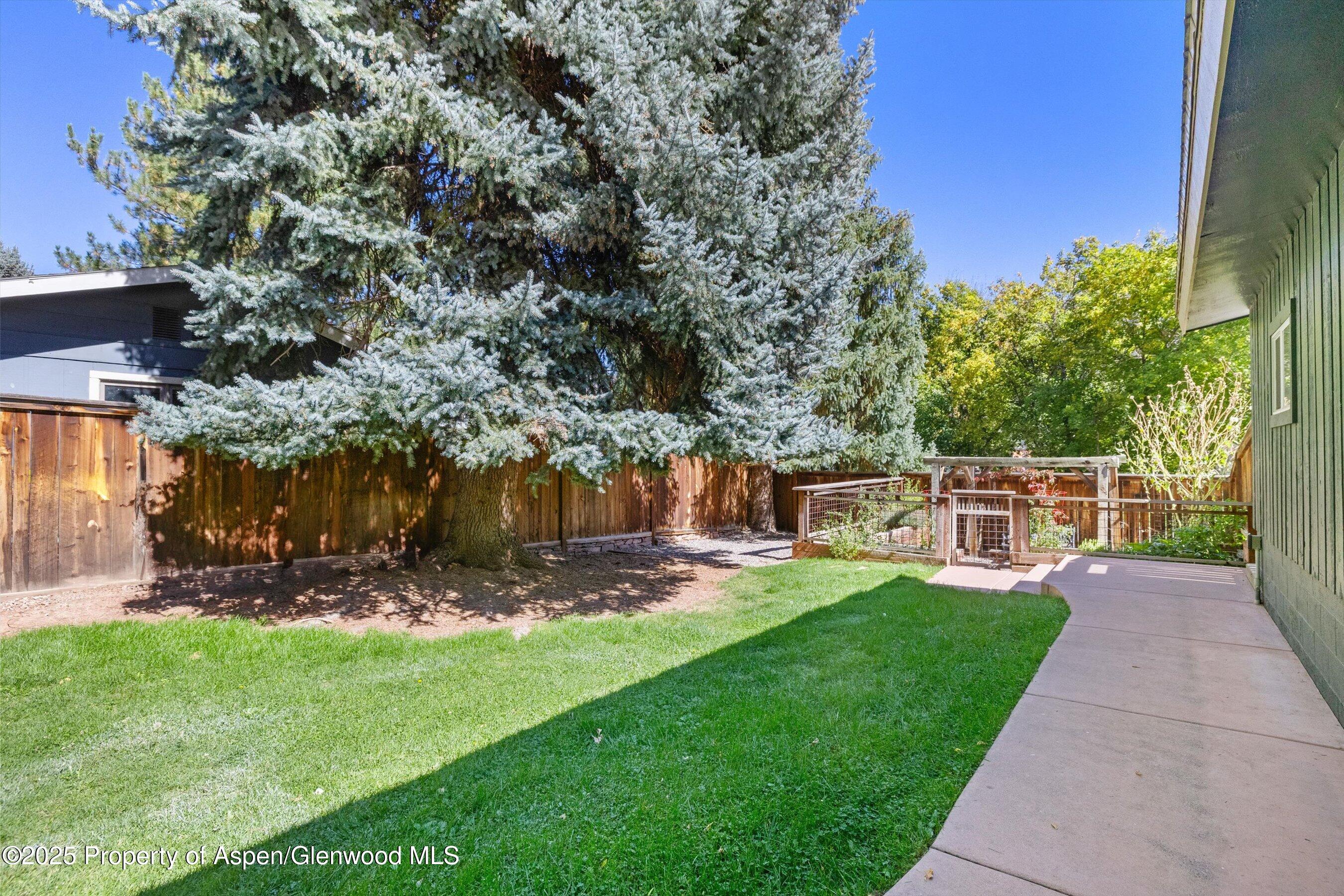 1019 Riverview Drive Glenwood Springs CO 81601