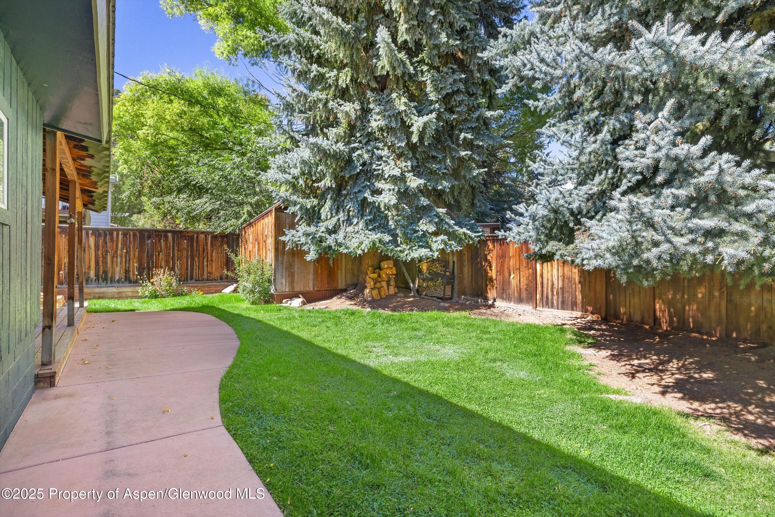 1019 Riverview Drive Glenwood Springs CO 81601