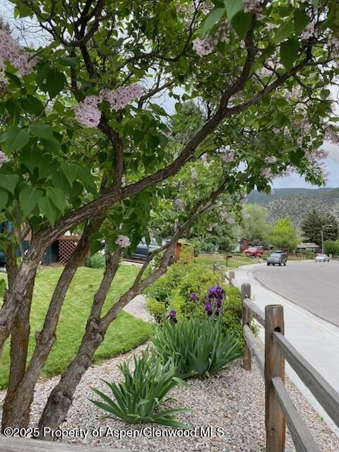 1019 Riverview Drive Glenwood Springs CO 81601
