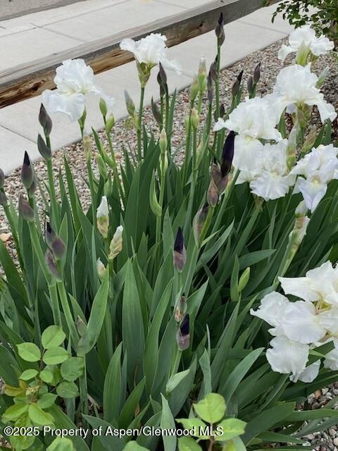 1019 Riverview Drive Glenwood Springs CO 81601