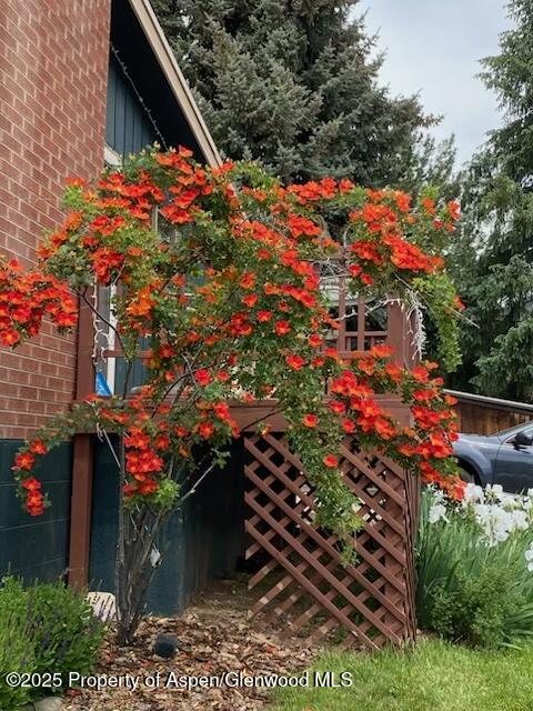 1019 Riverview Drive Glenwood Springs CO 81601