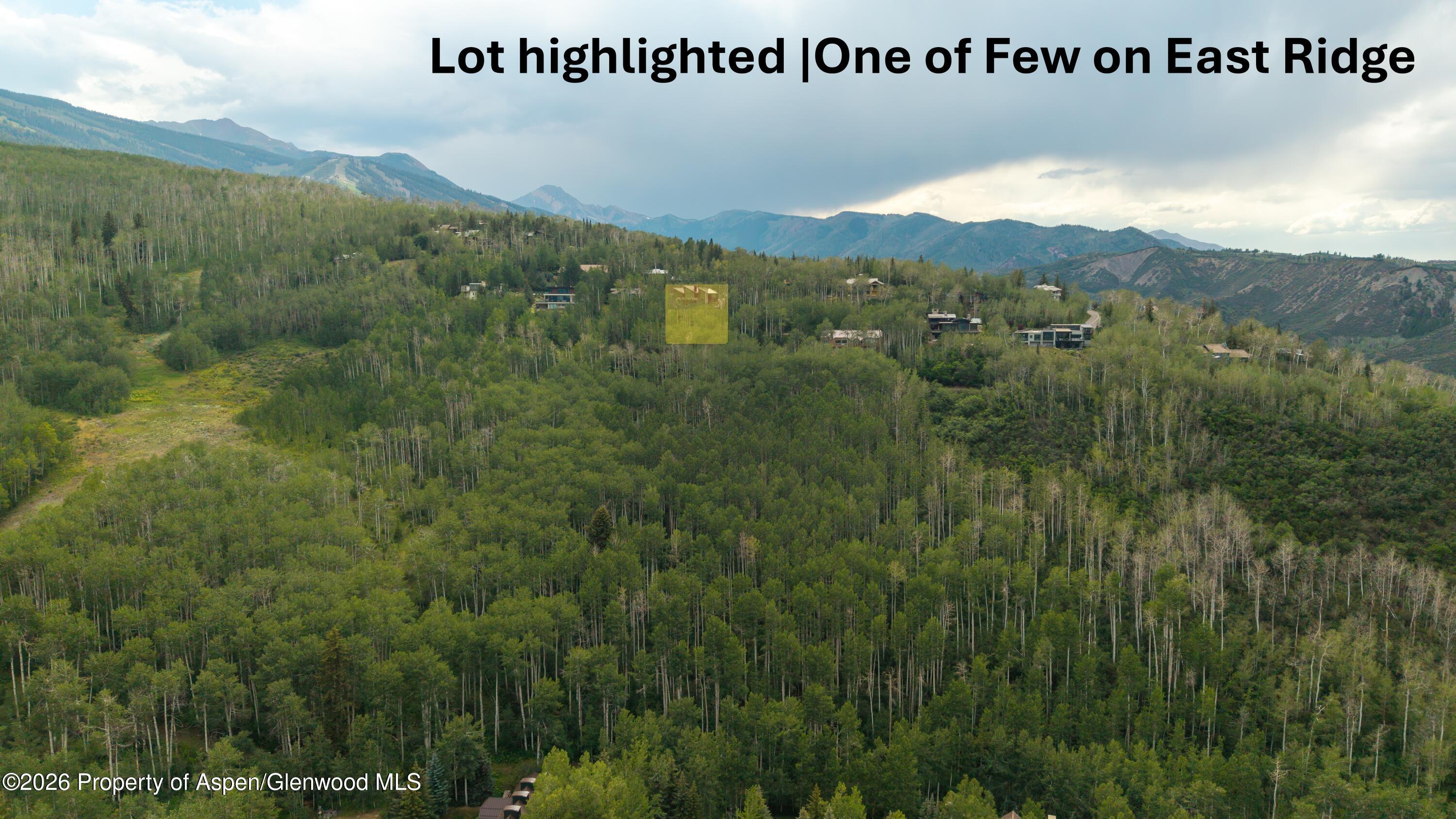 36 Ermine Lane Snowmass Village CO 81615