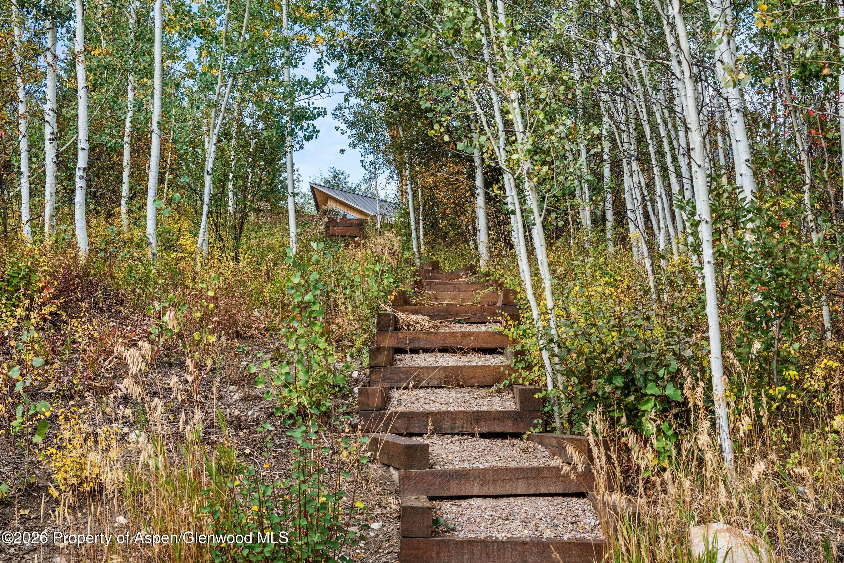 36 Ermine Lane Snowmass Village CO 81615