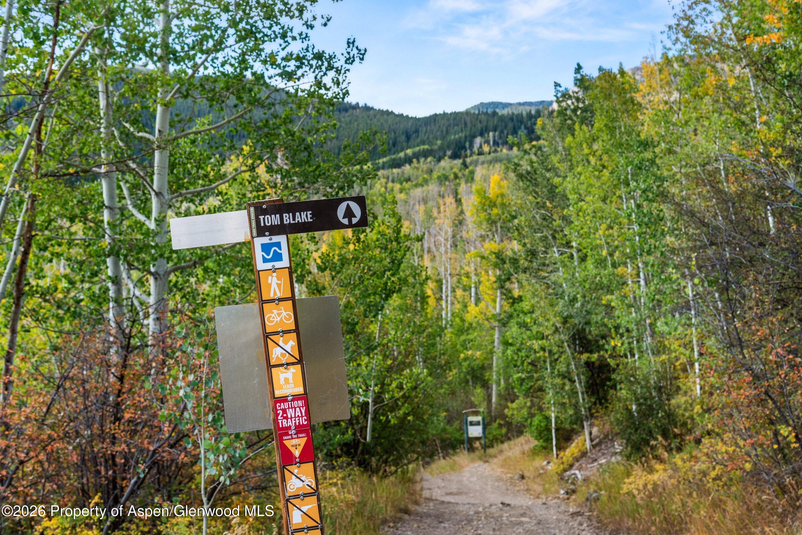 36 Ermine Lane Snowmass Village CO 81615