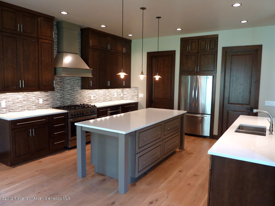 442 Larkspur Drive Carbondale CO 81623