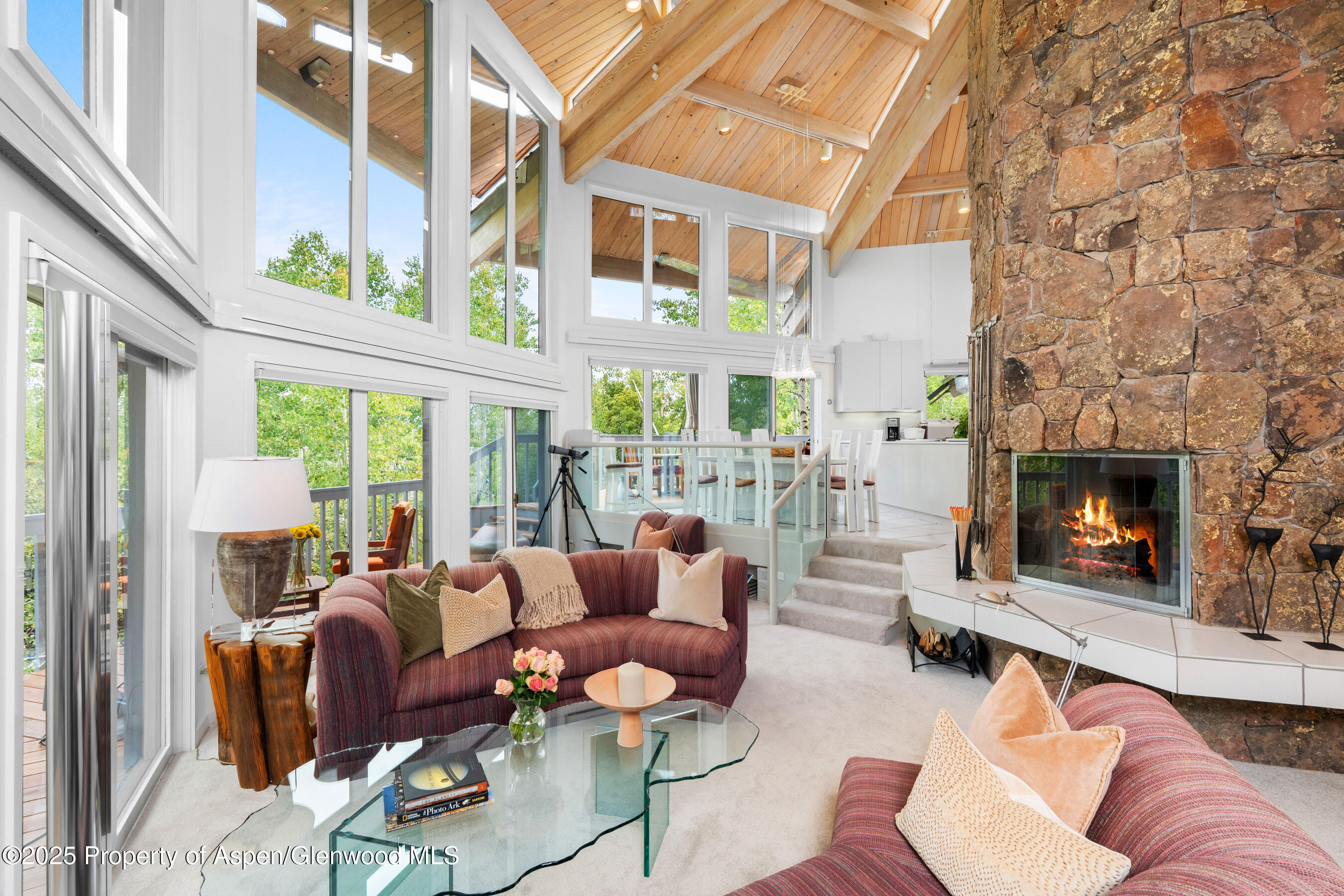 Snowmass Village CO, 239 Antler Ridge Lane