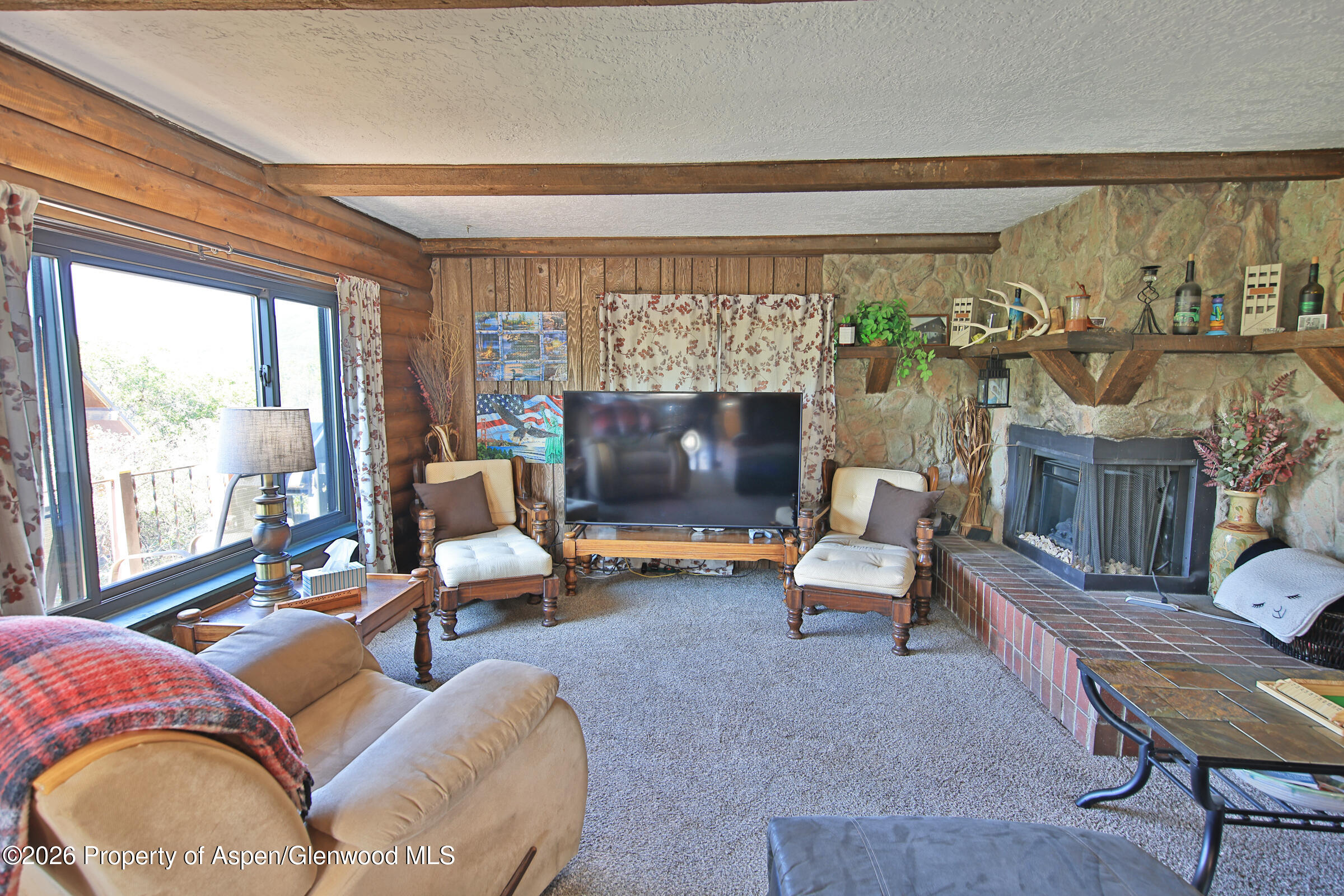 15699 Aspen Glen Lane Collbran CO 81624
