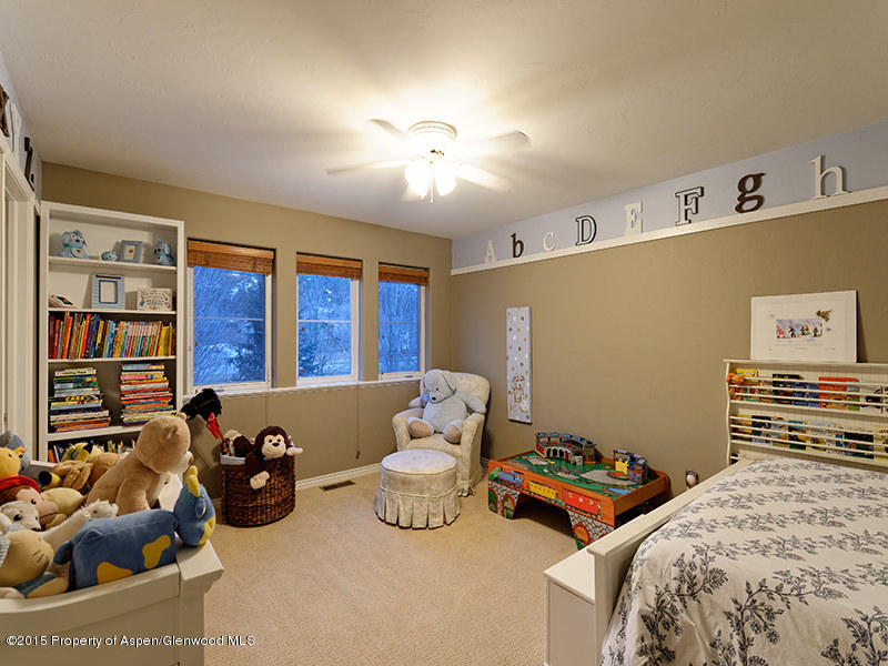 306 Sopris Circle Basalt CO 81621