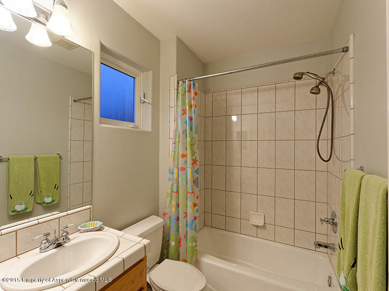 306 Sopris Circle Basalt CO 81621