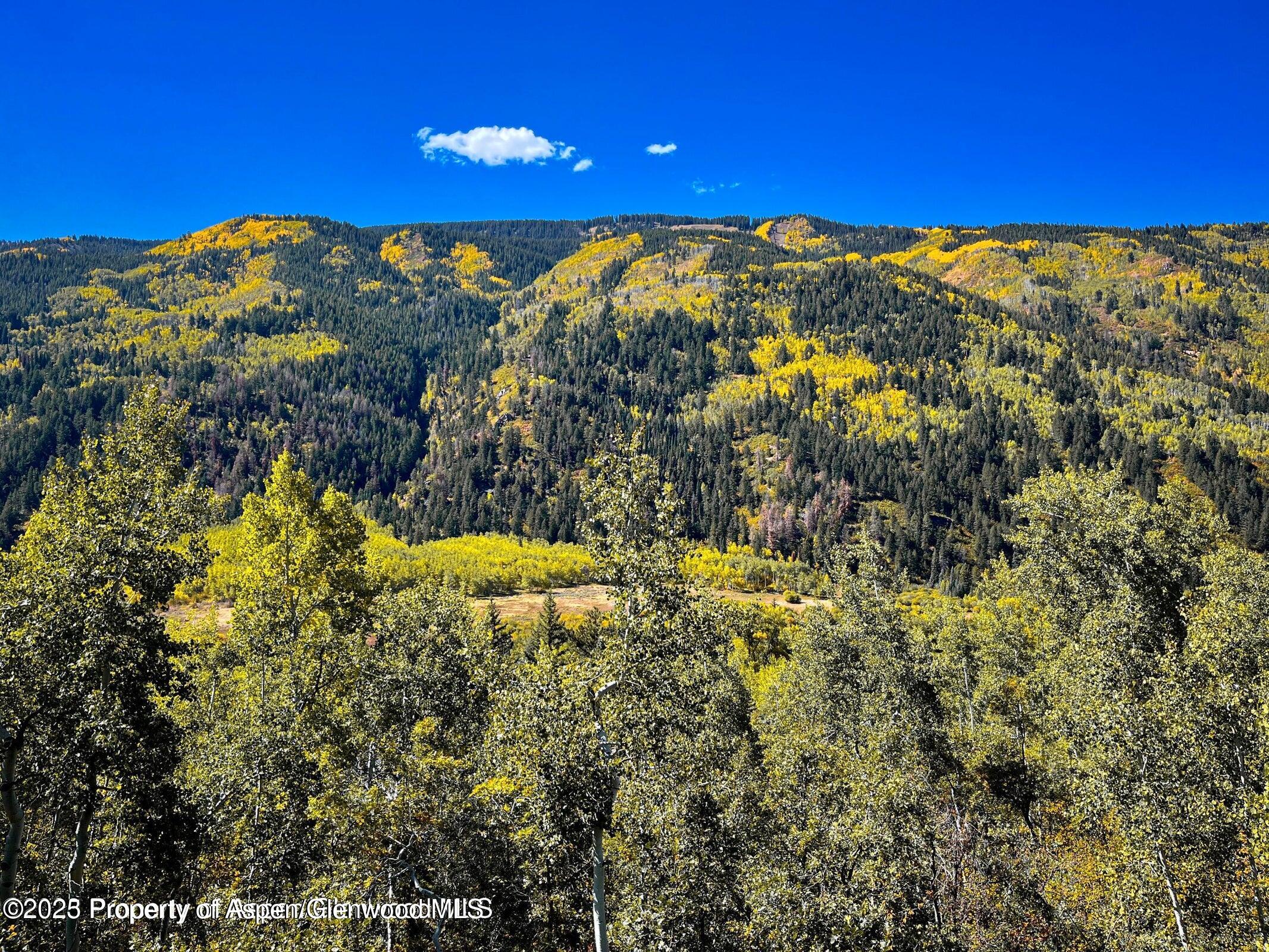 44481 Highway 82 Aspen CO 81611