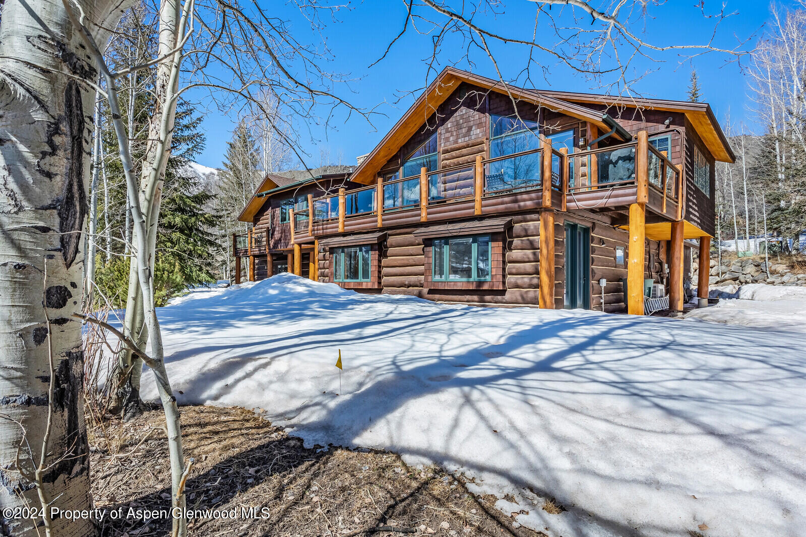 57 Saddleback Lane Snowmass Village CO 81615