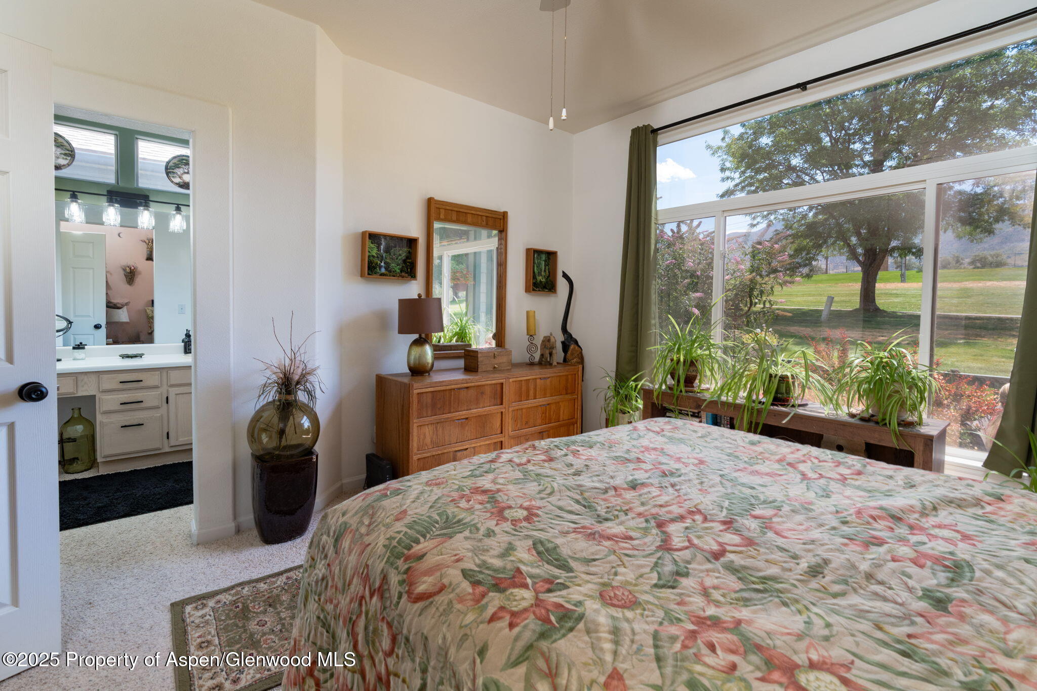 100 Limberpine Circle Battlement Mesa CO 81635